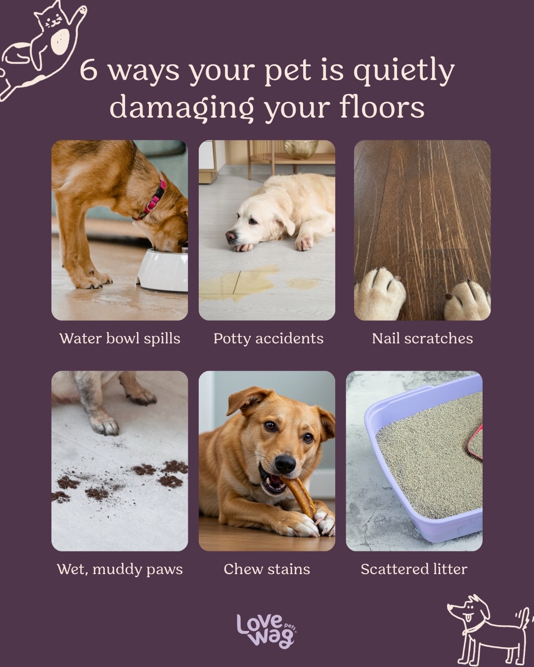 @Lovewag Pets