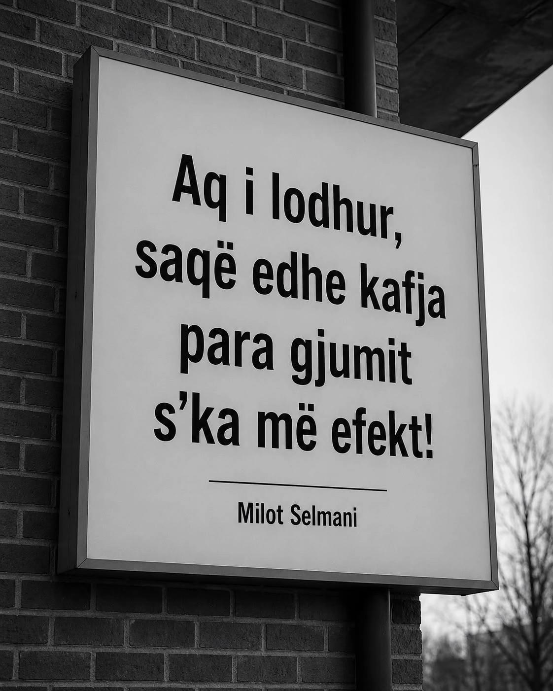 @milotselmani