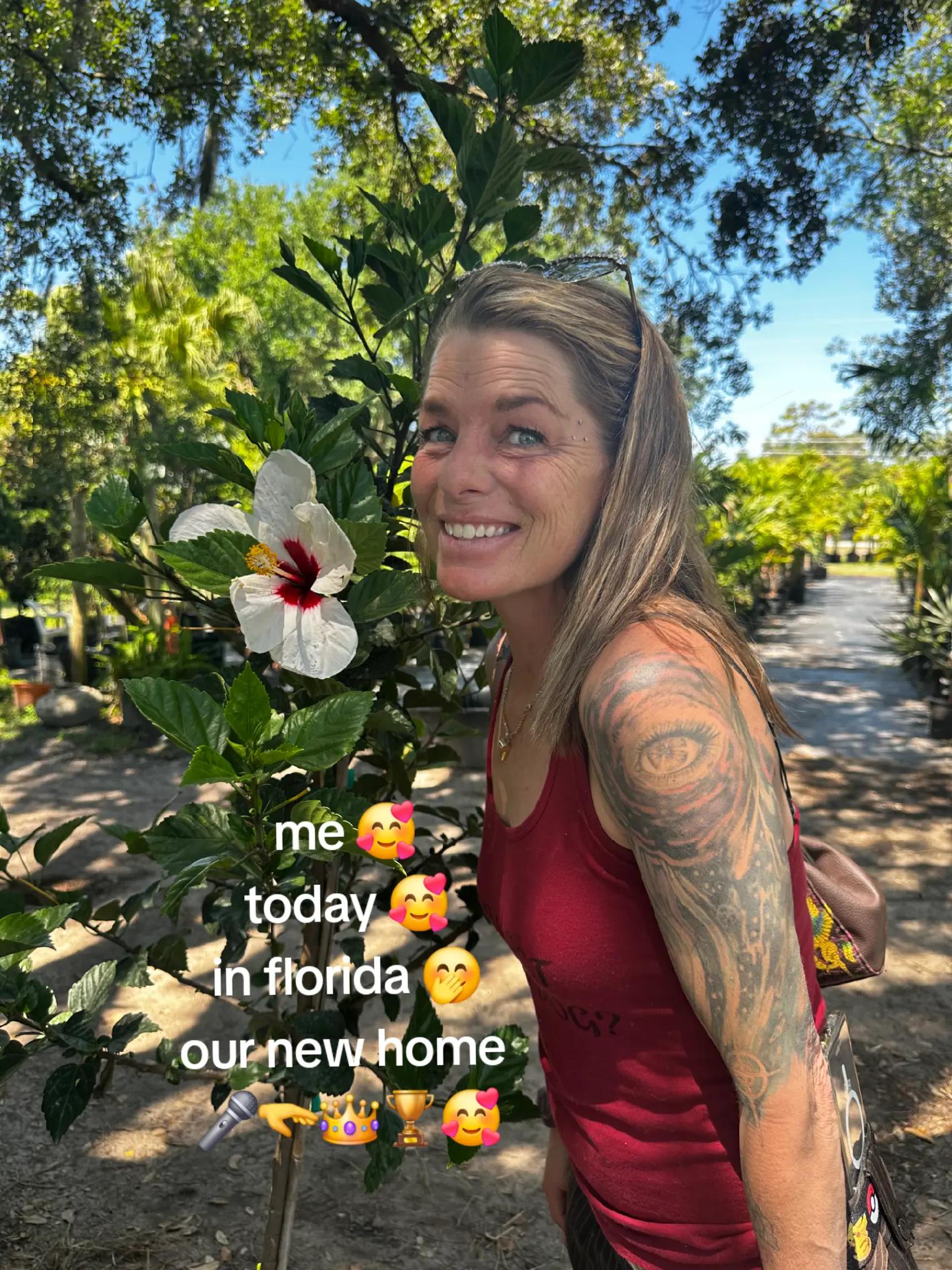 @GM²