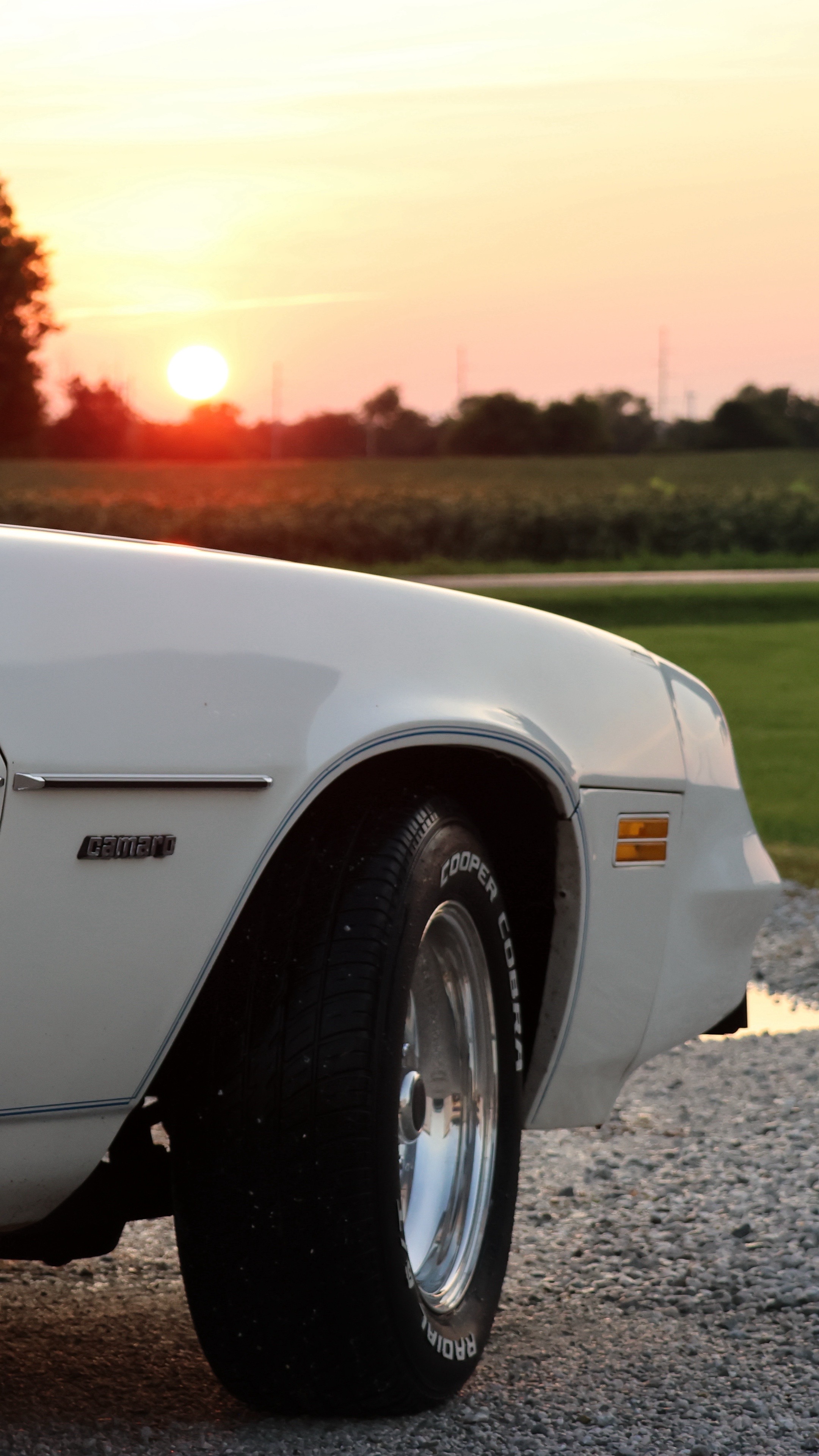 @79_Camaro