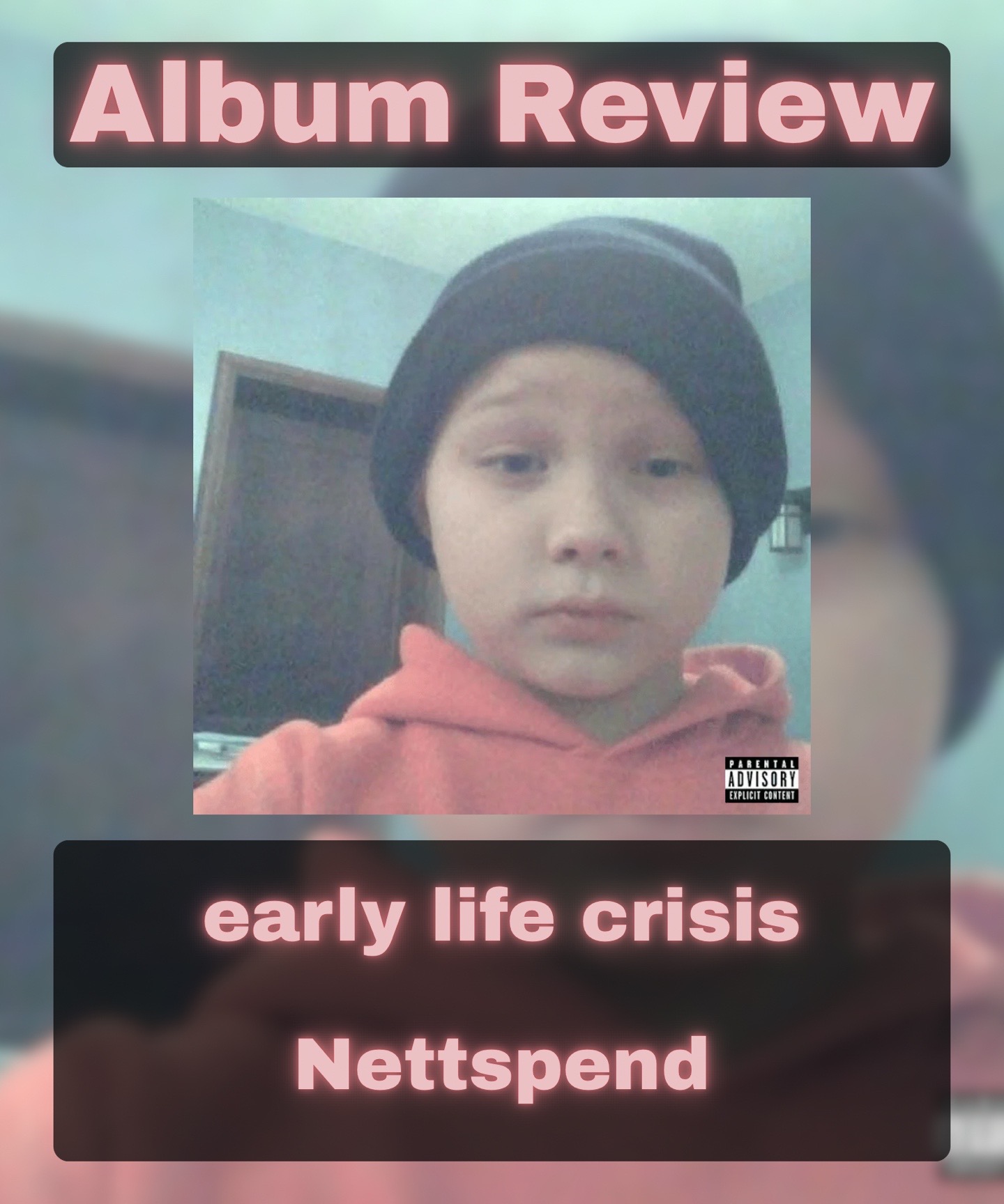 @gingermusicreviewer