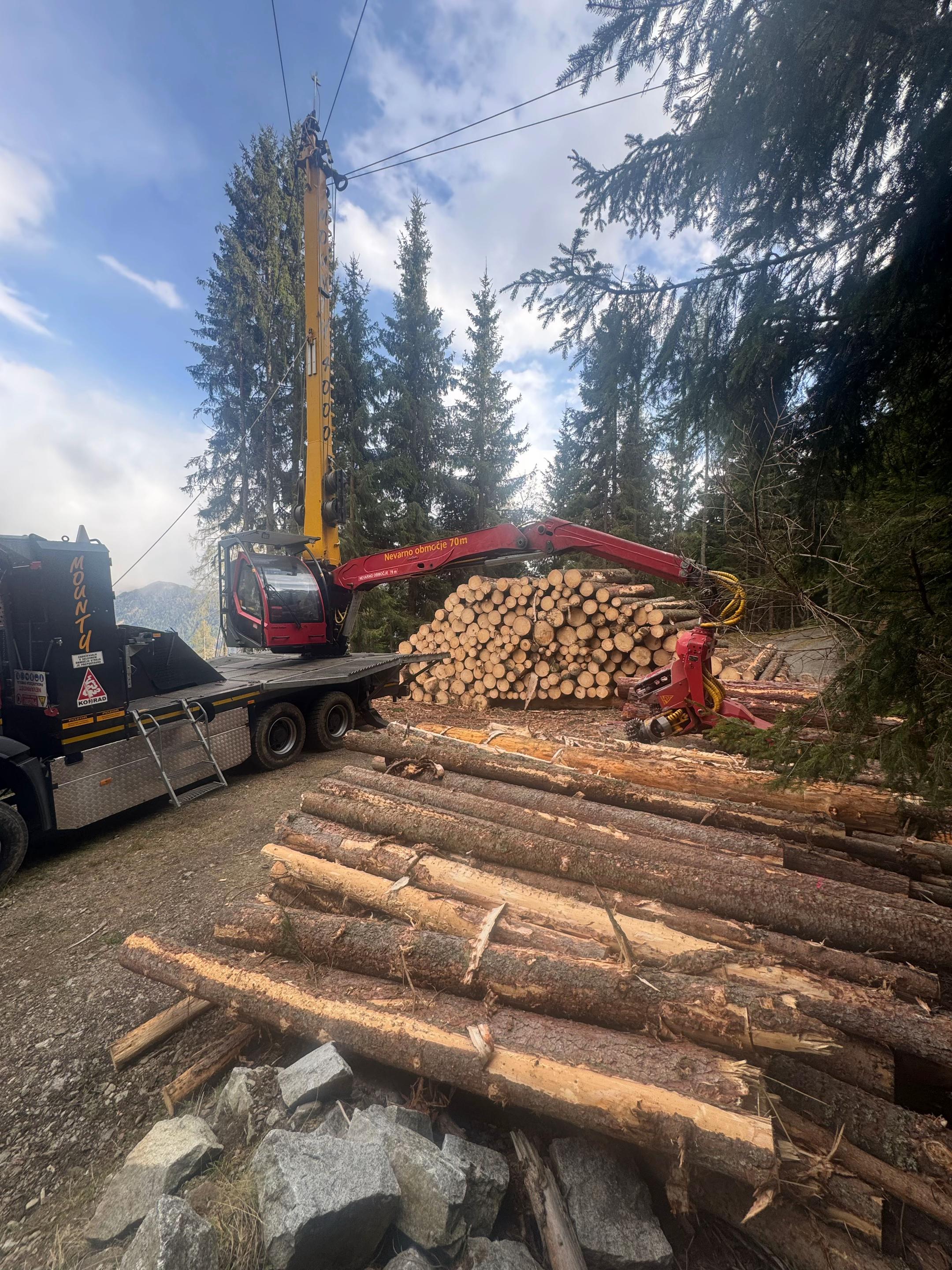 @forestexport