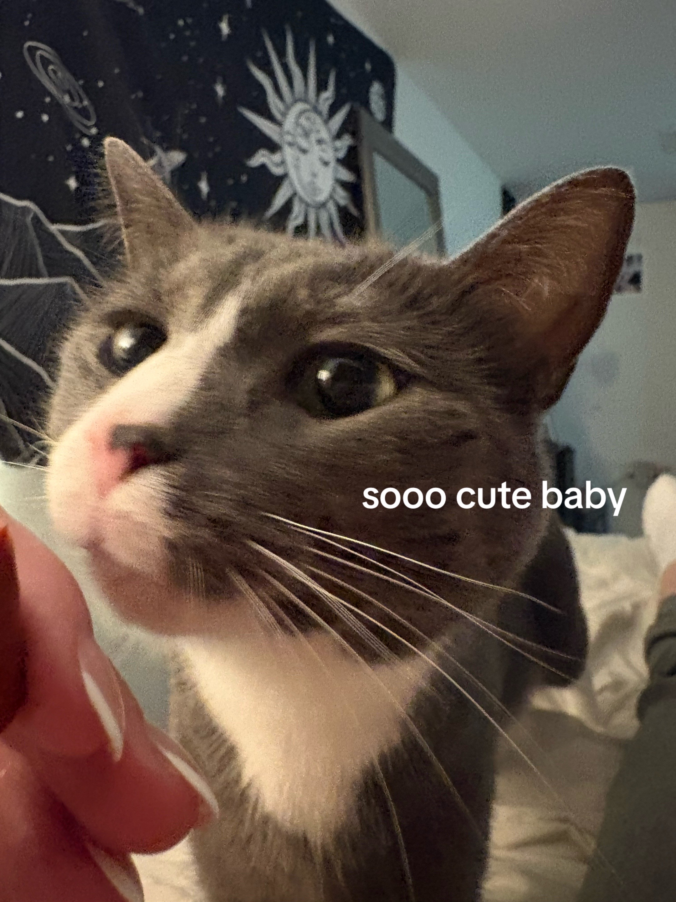 @maryyy🍄🧚🌙🐈&zwj;⬛
