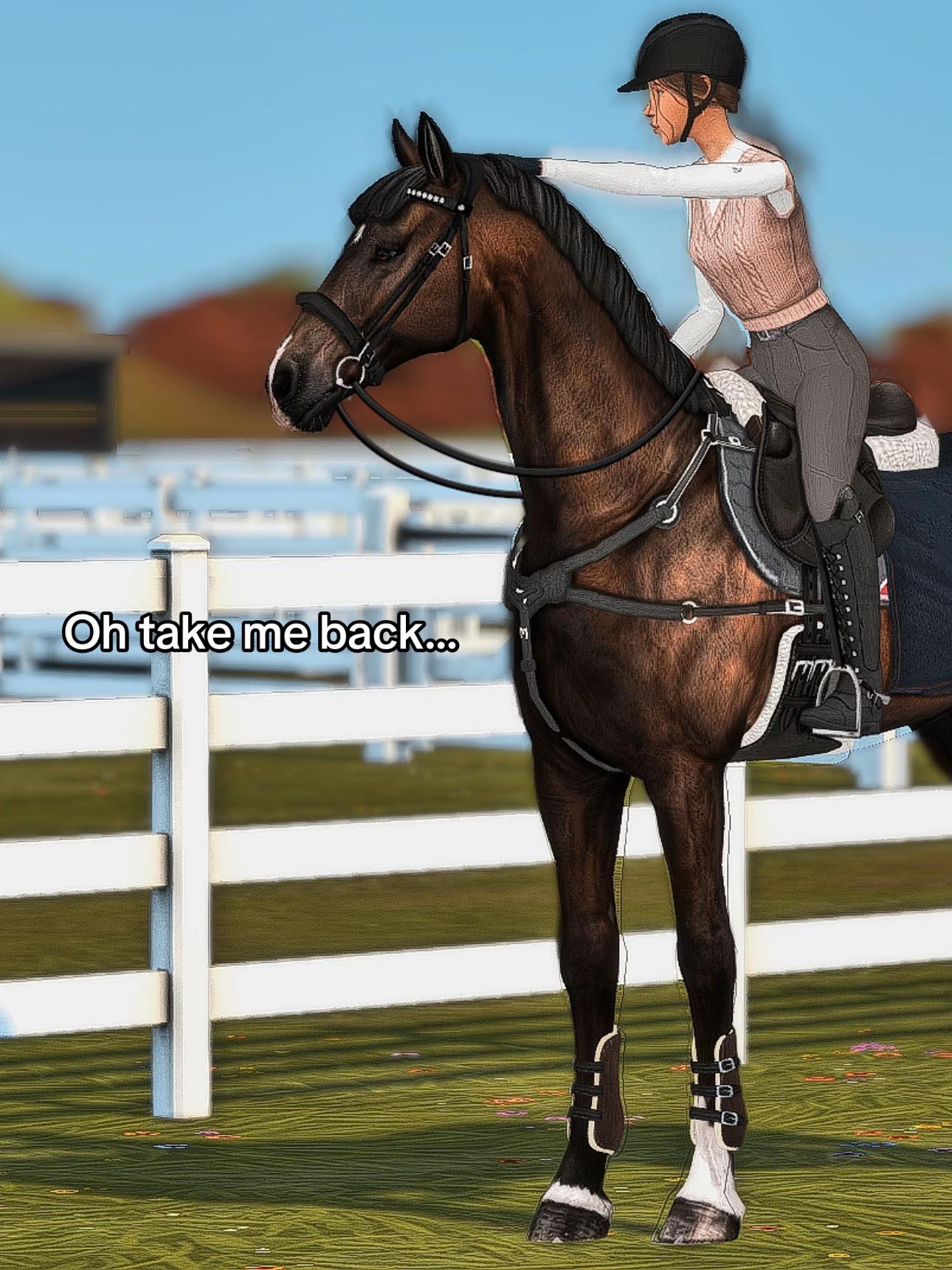 @mainorhillsstud