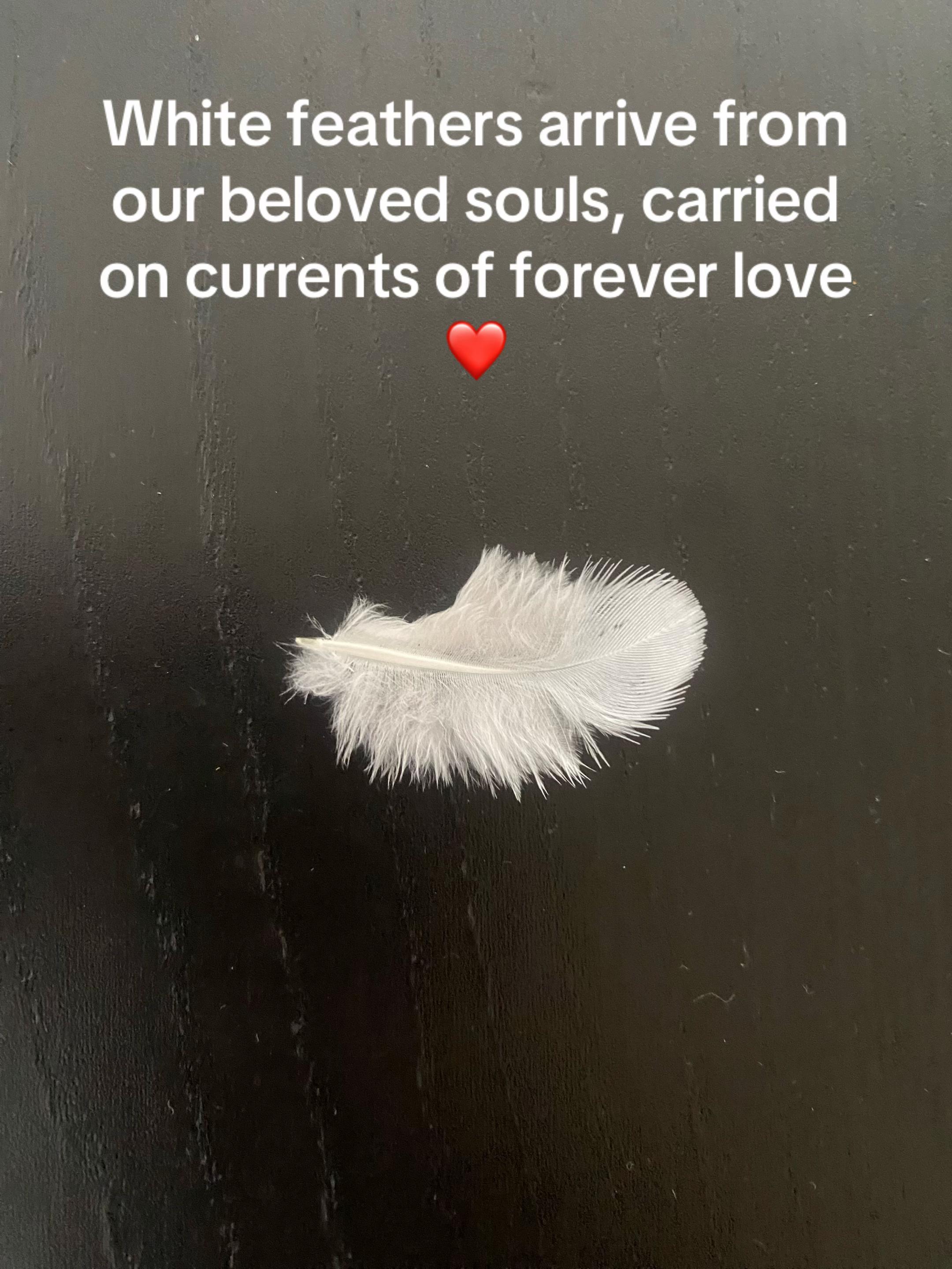 @ZenSationalSoul