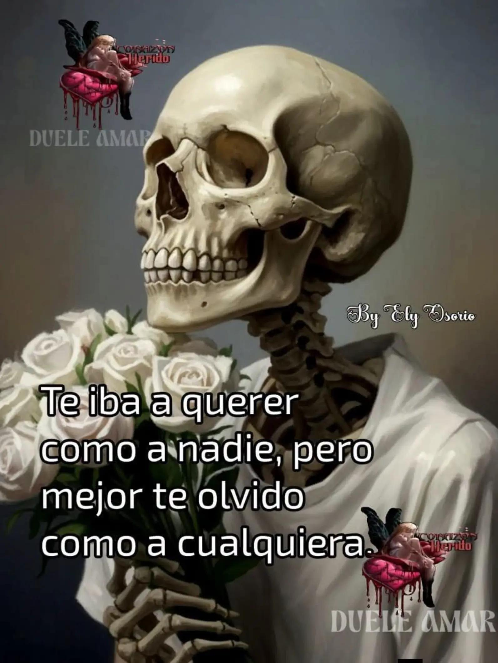 @Doris Elvira💋