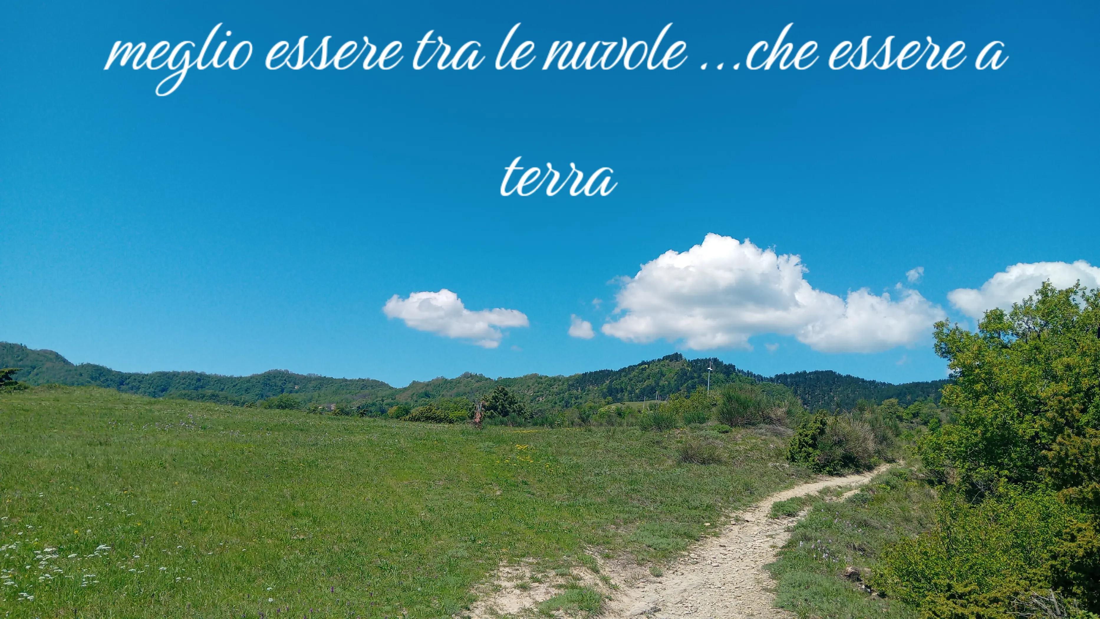 @Sofia Ronconi