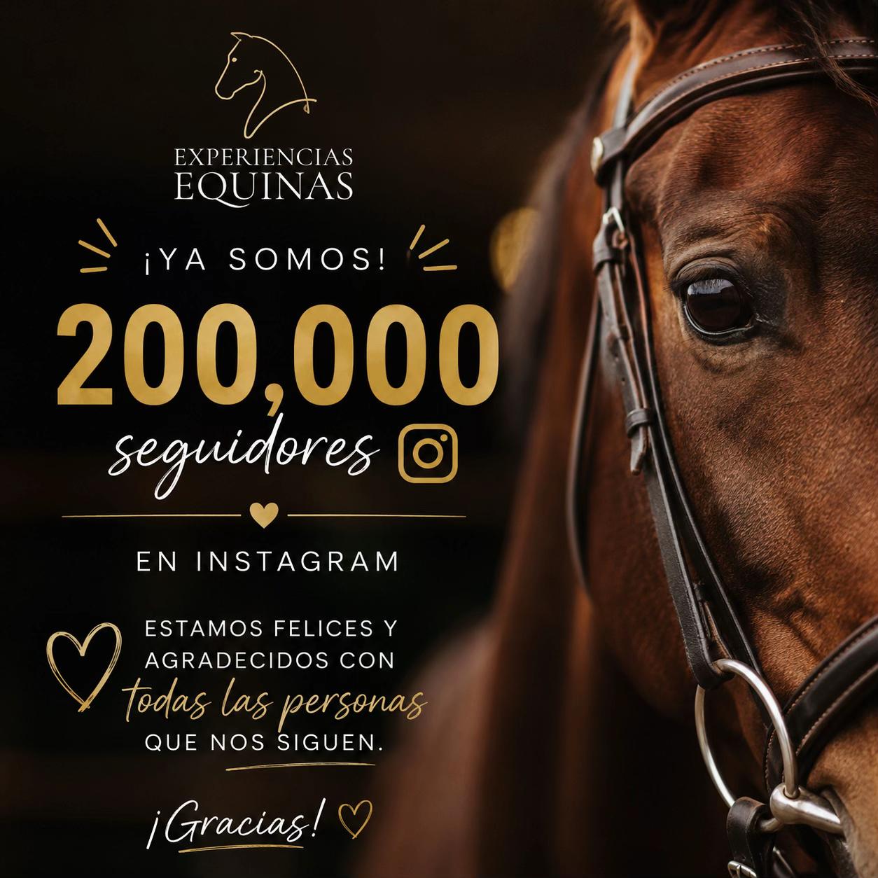 @Experiencias Equinas