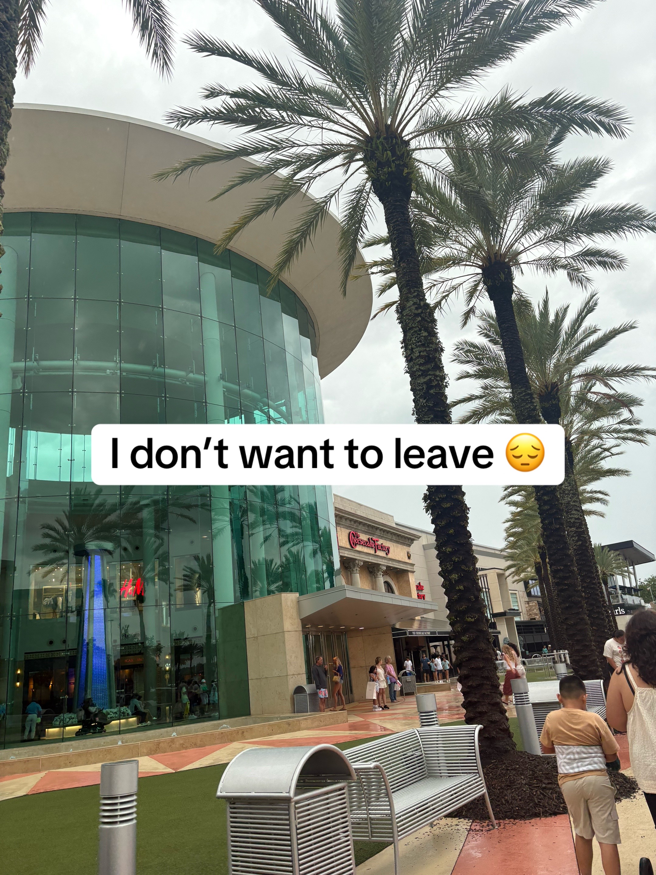 @Mauri .