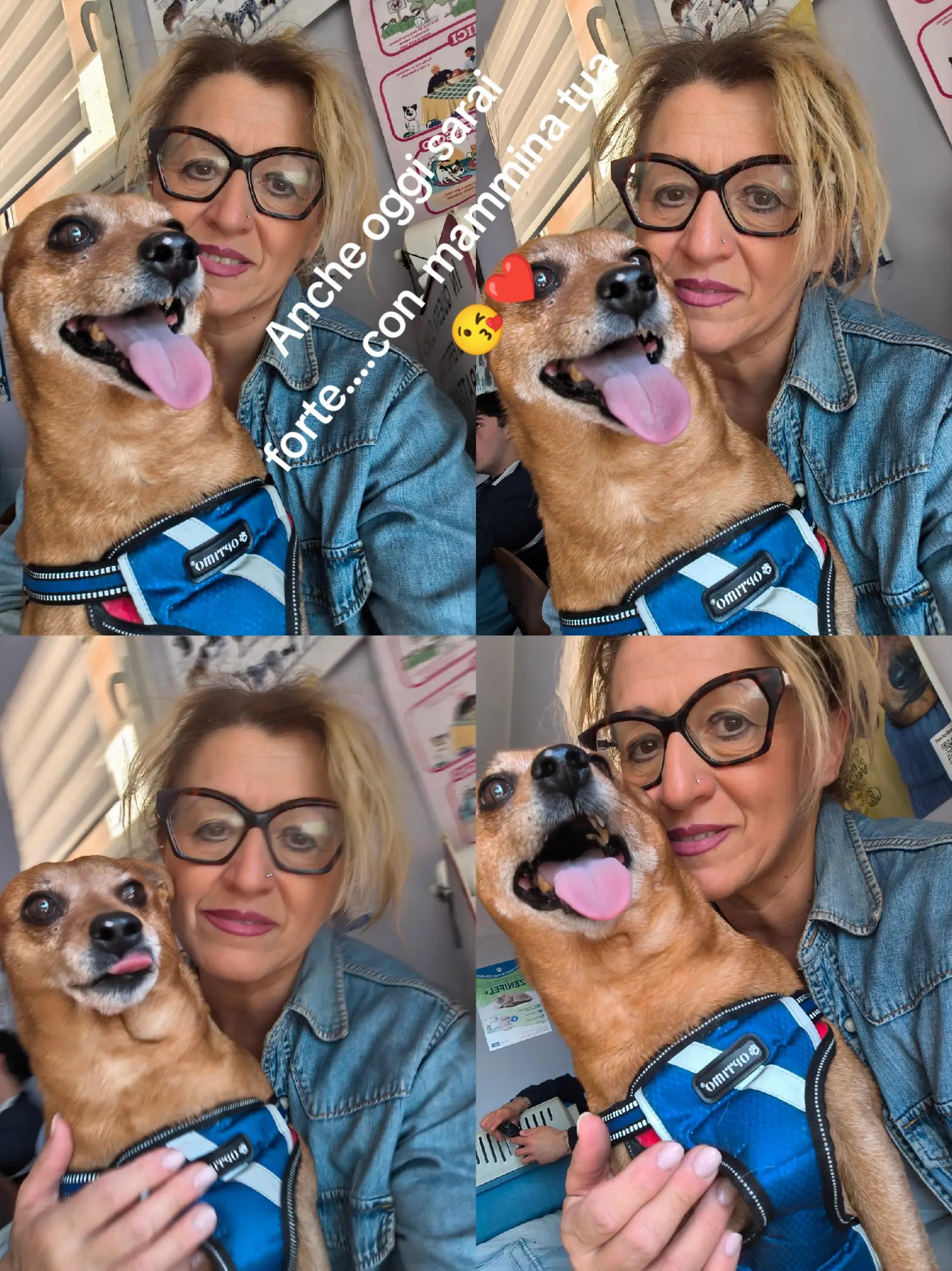 @ritapicchio72