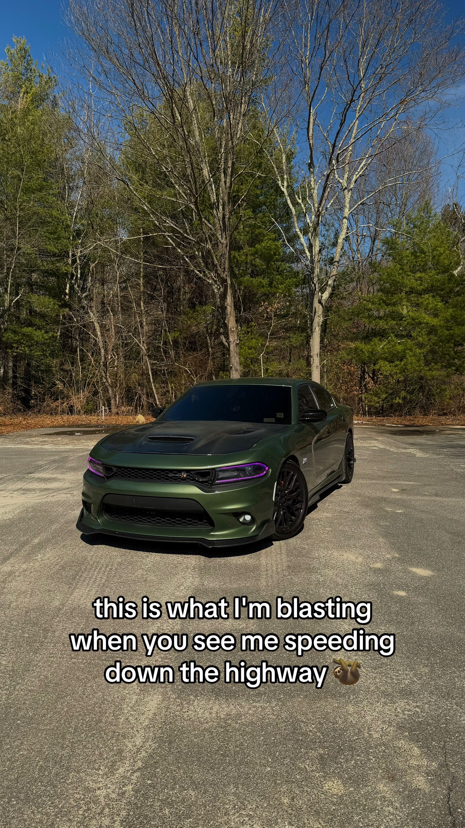 @toxicscatty
