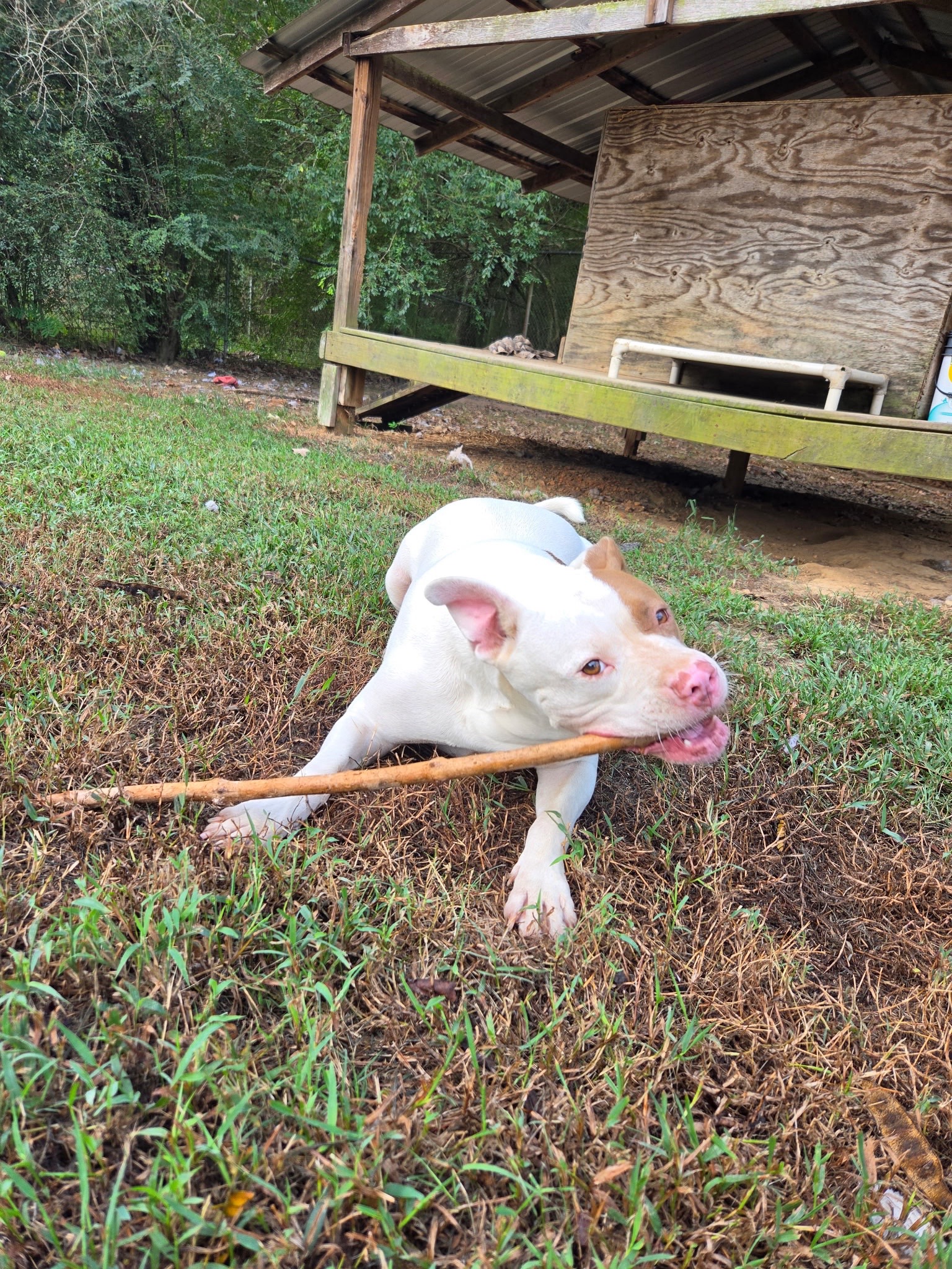 @Cedarhill Animal Sanctuary