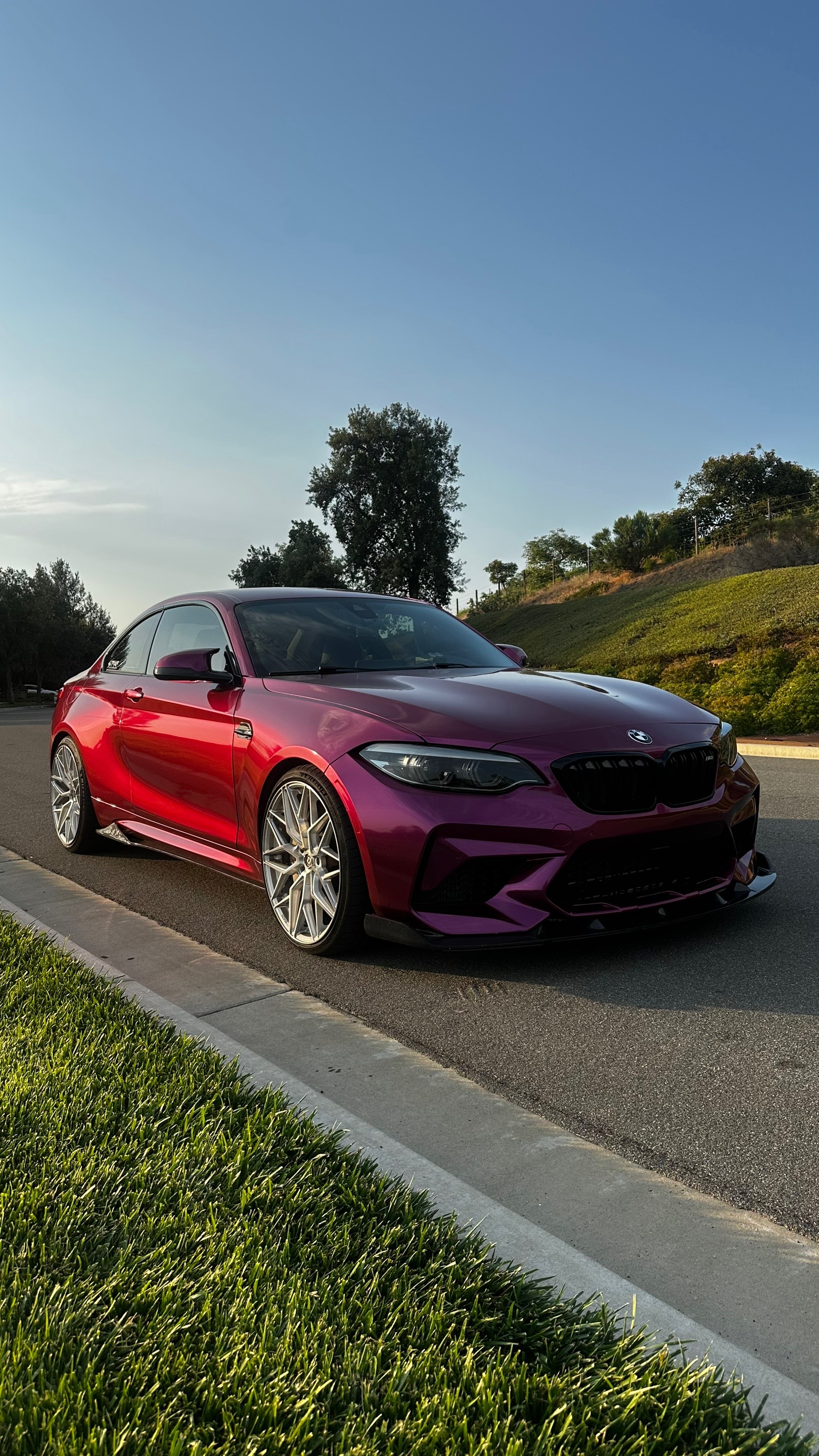 @M2Chick (Sally)