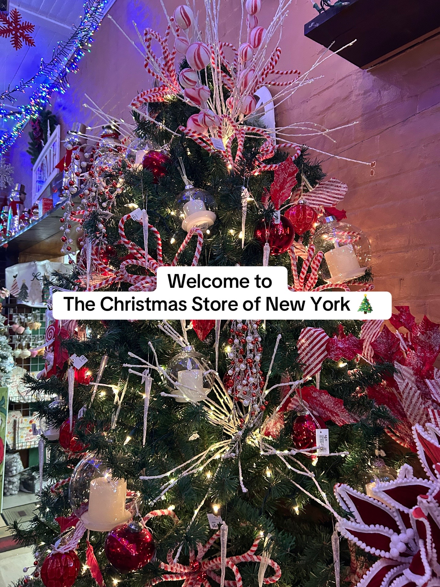 @The Christmas Store of NY