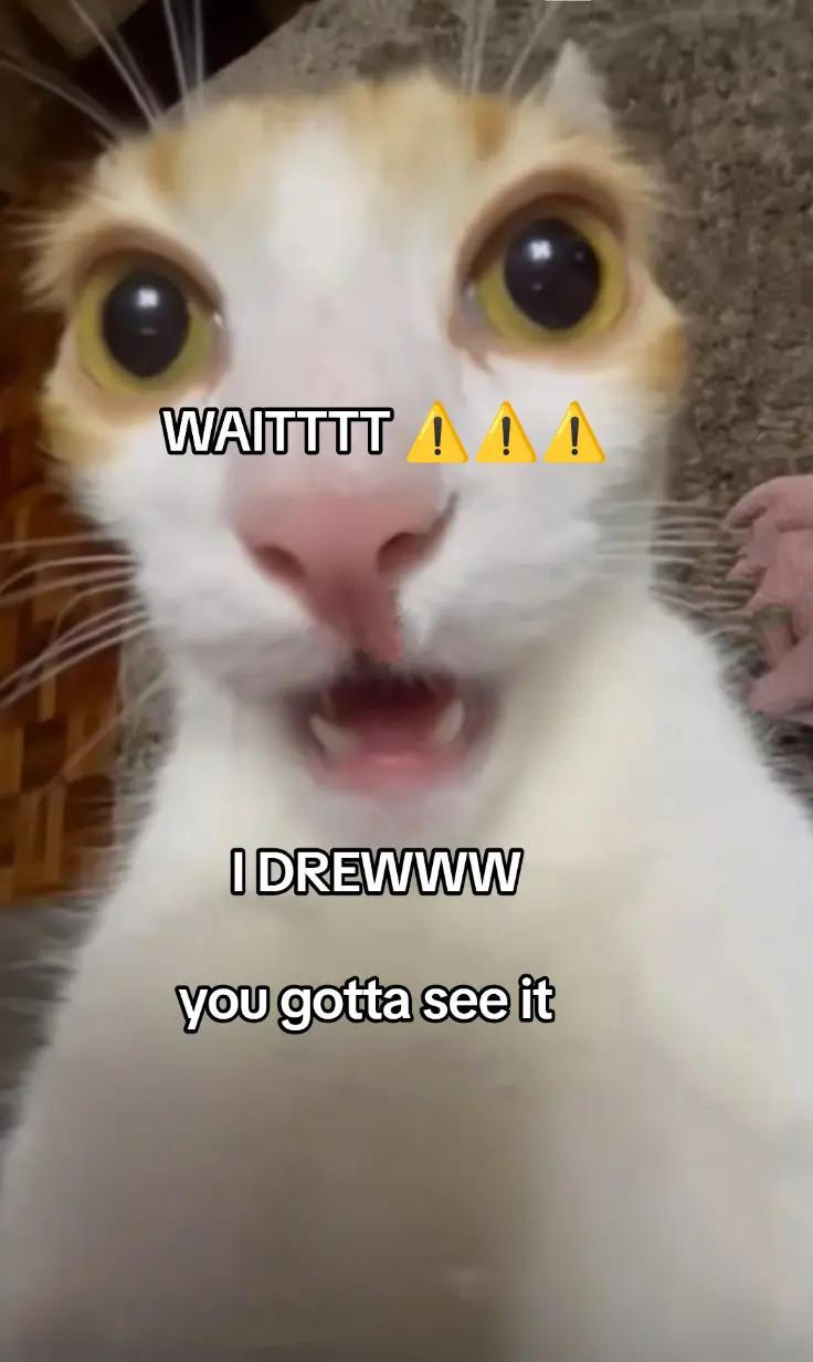 @widdleart