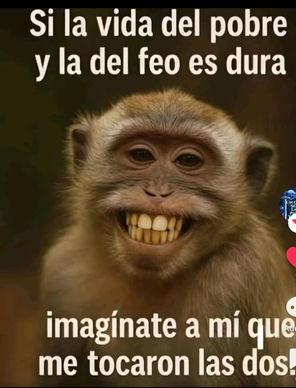 @pollocamaron