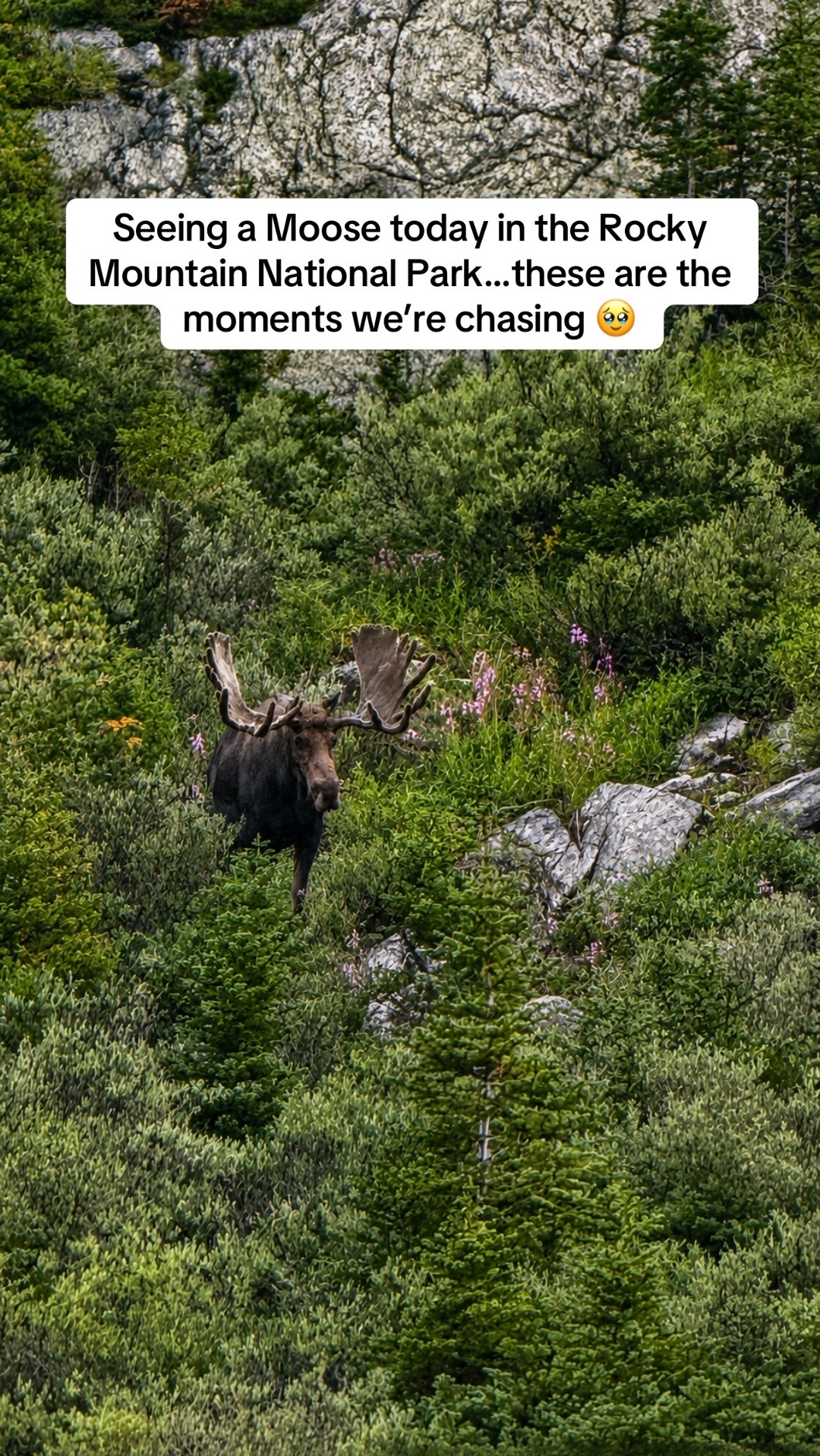 @wanderingrvlife
