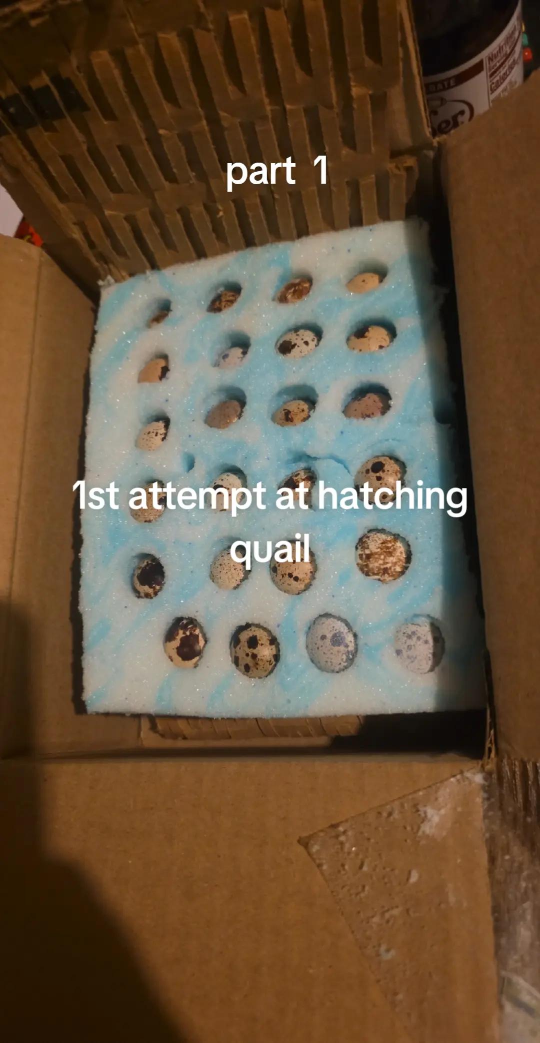 @RD