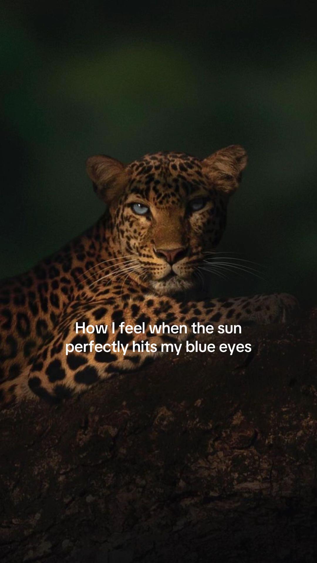 @-инесса-