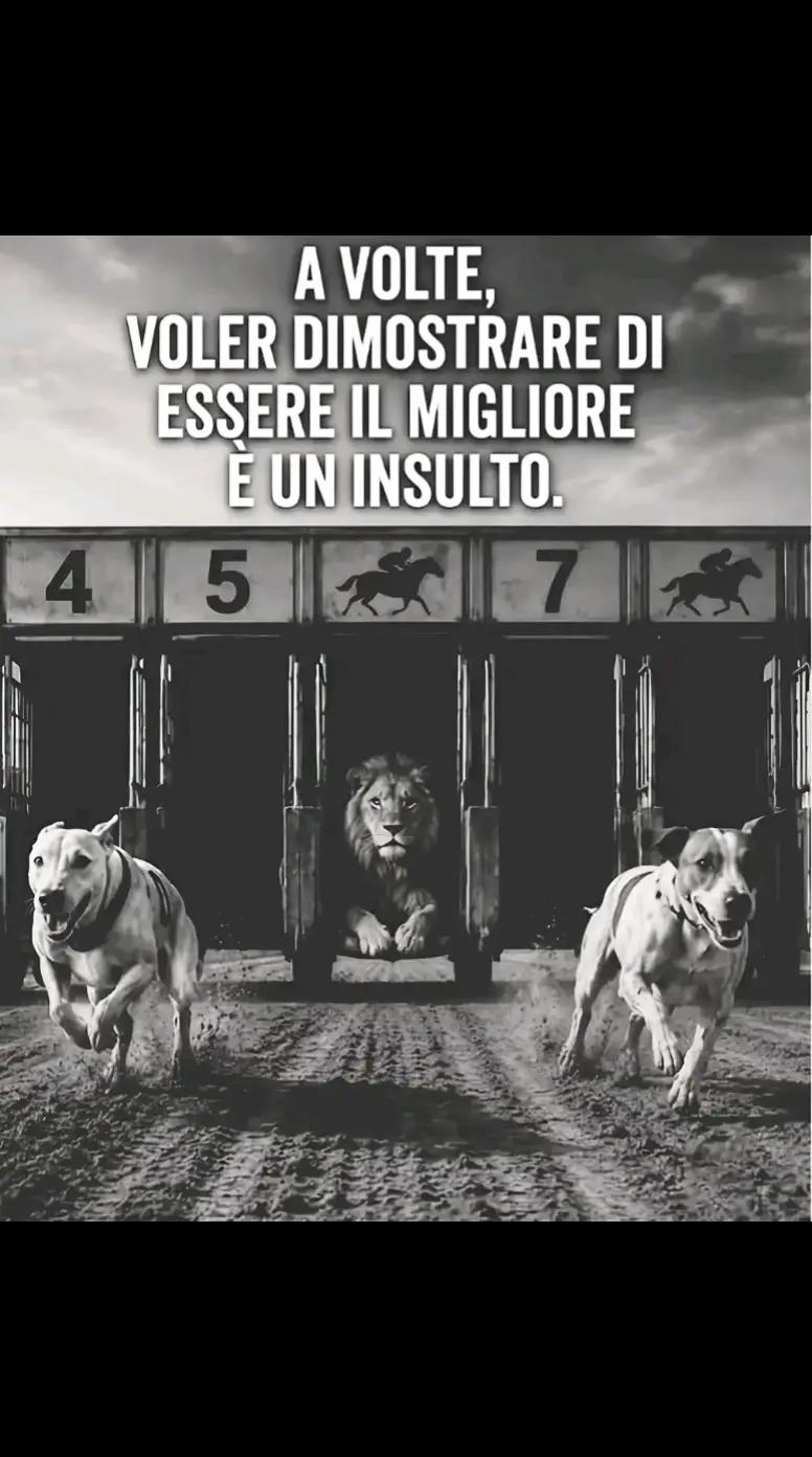 @Salvatore Alfano618