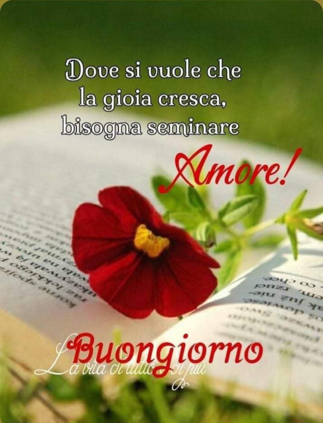 @Maria e Ciro