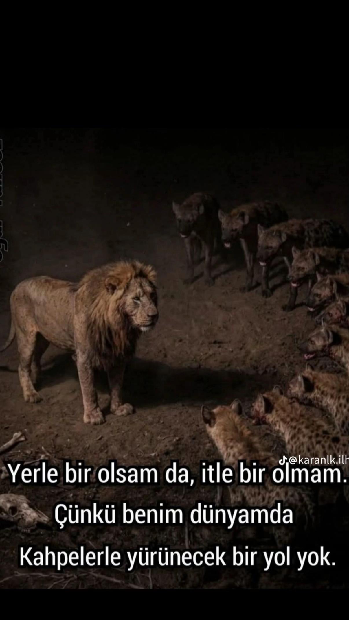 @Emre AKTAÇ