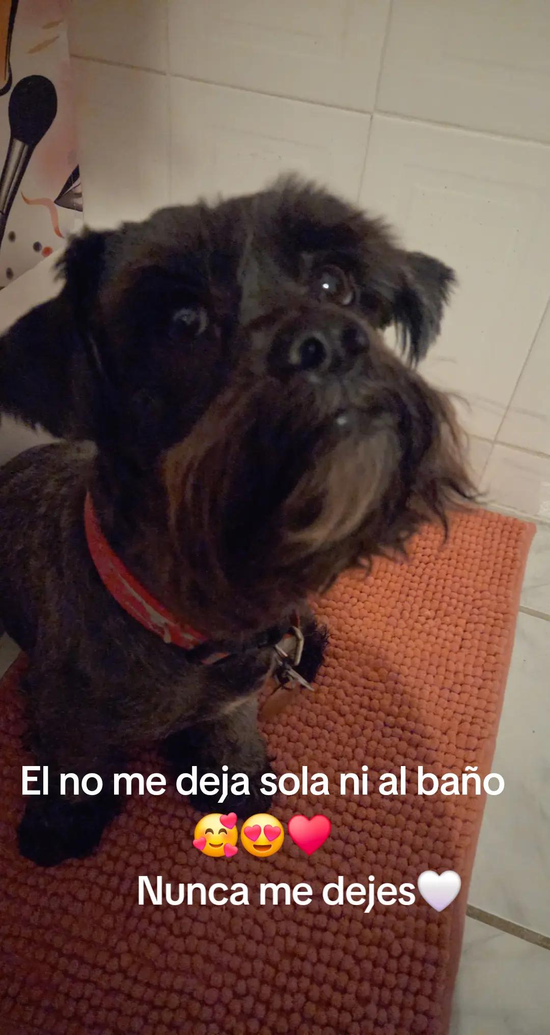@Janet Collazo822🇵🇷 Boricua
