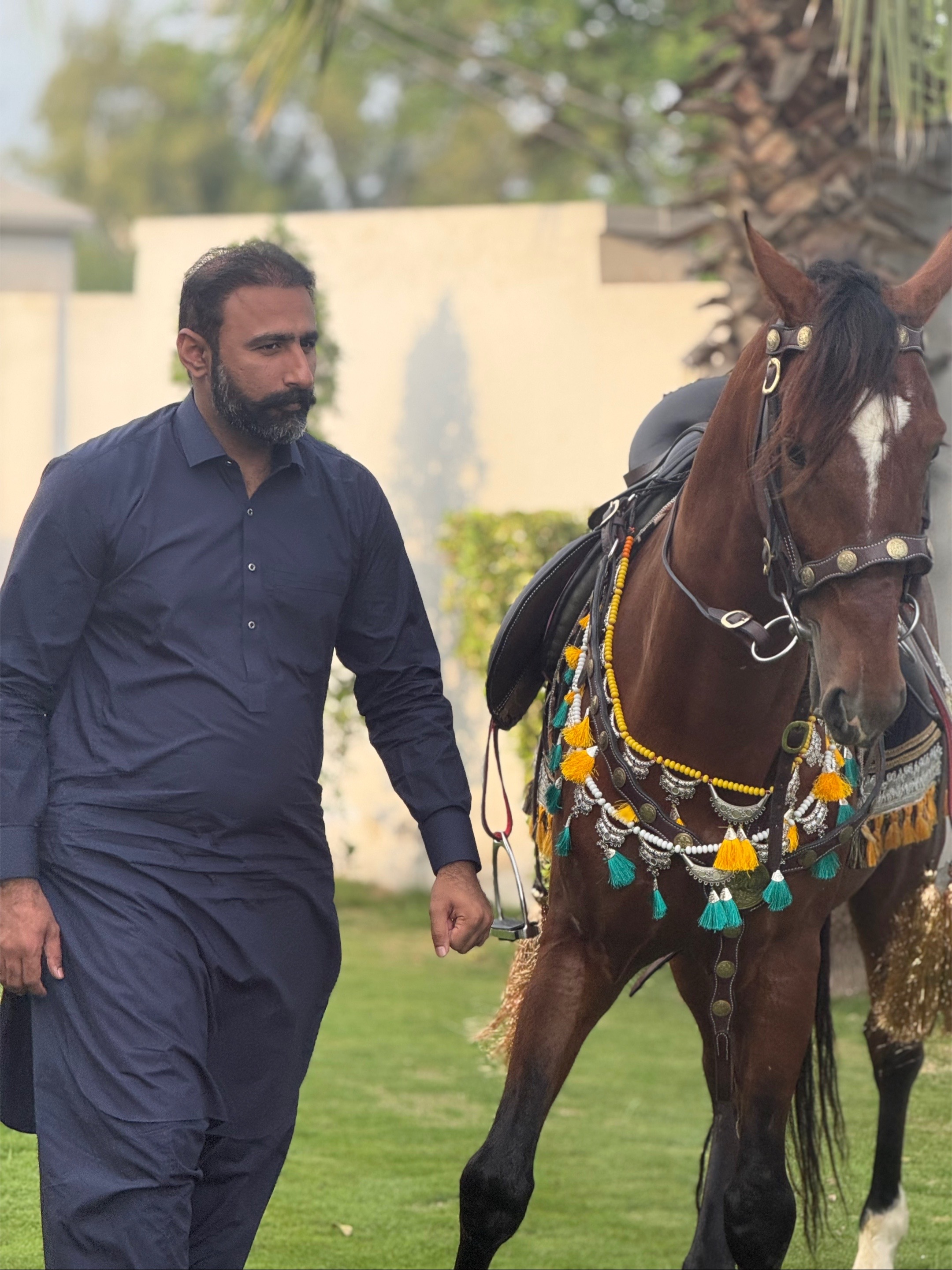 @Umair Warraich