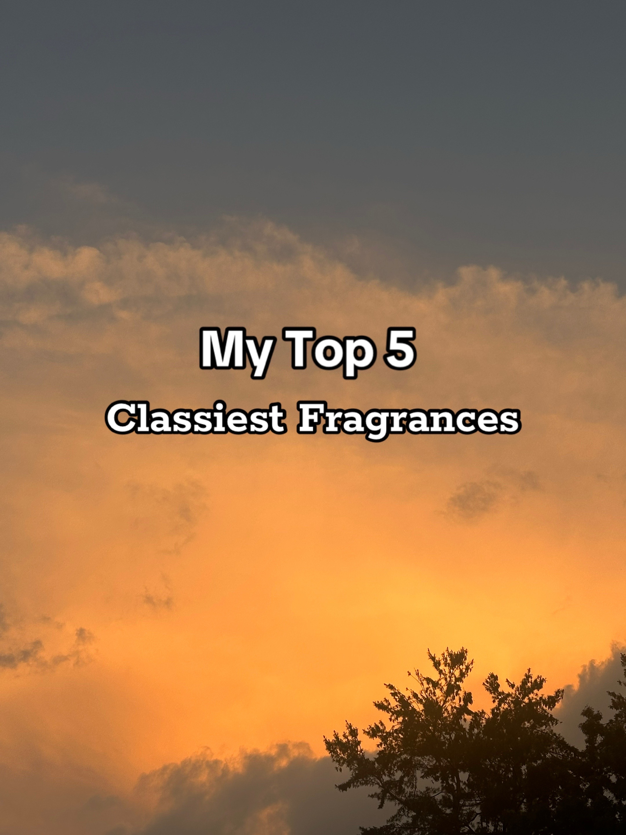 @dcperfumes