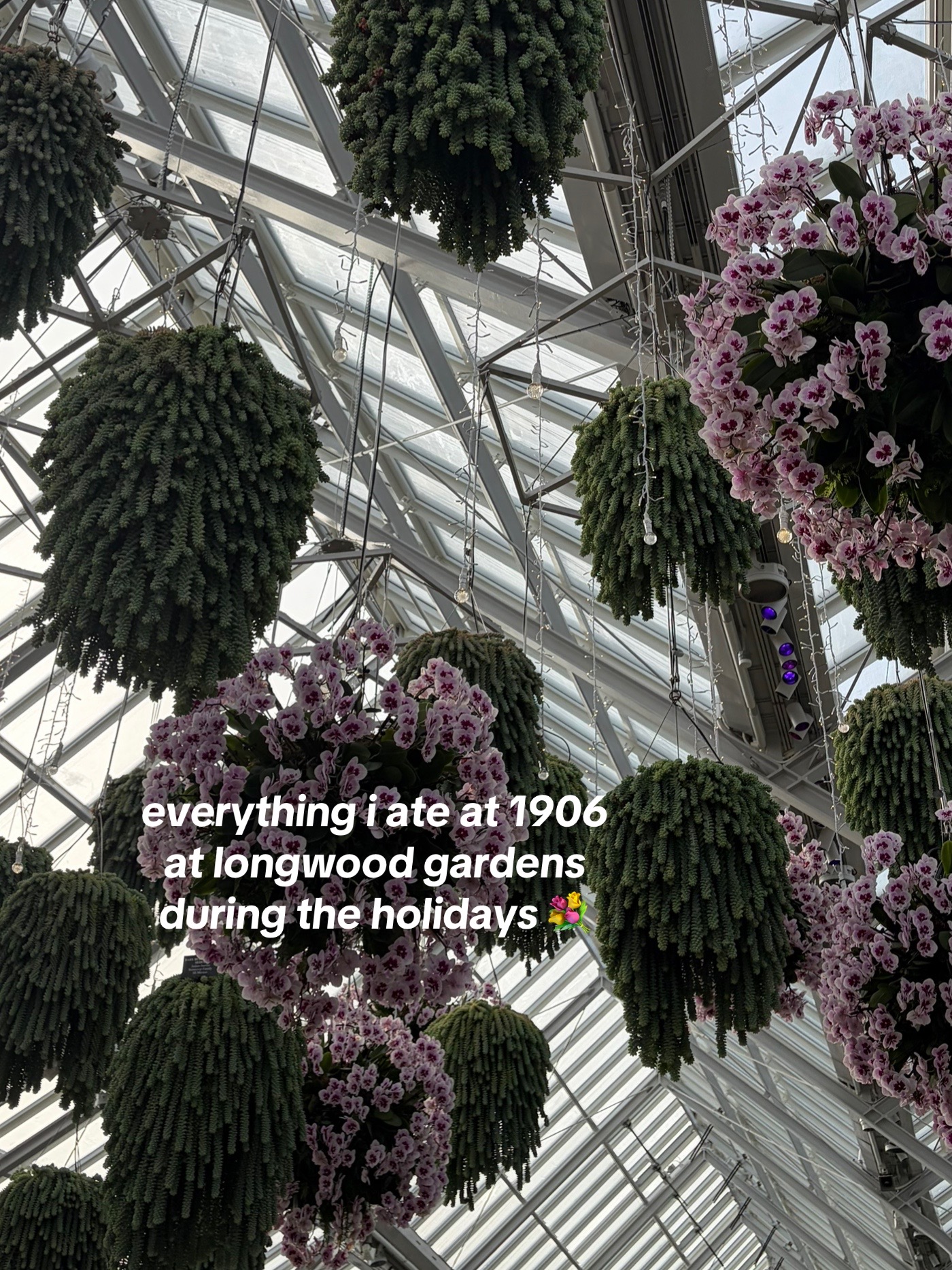 @ev
