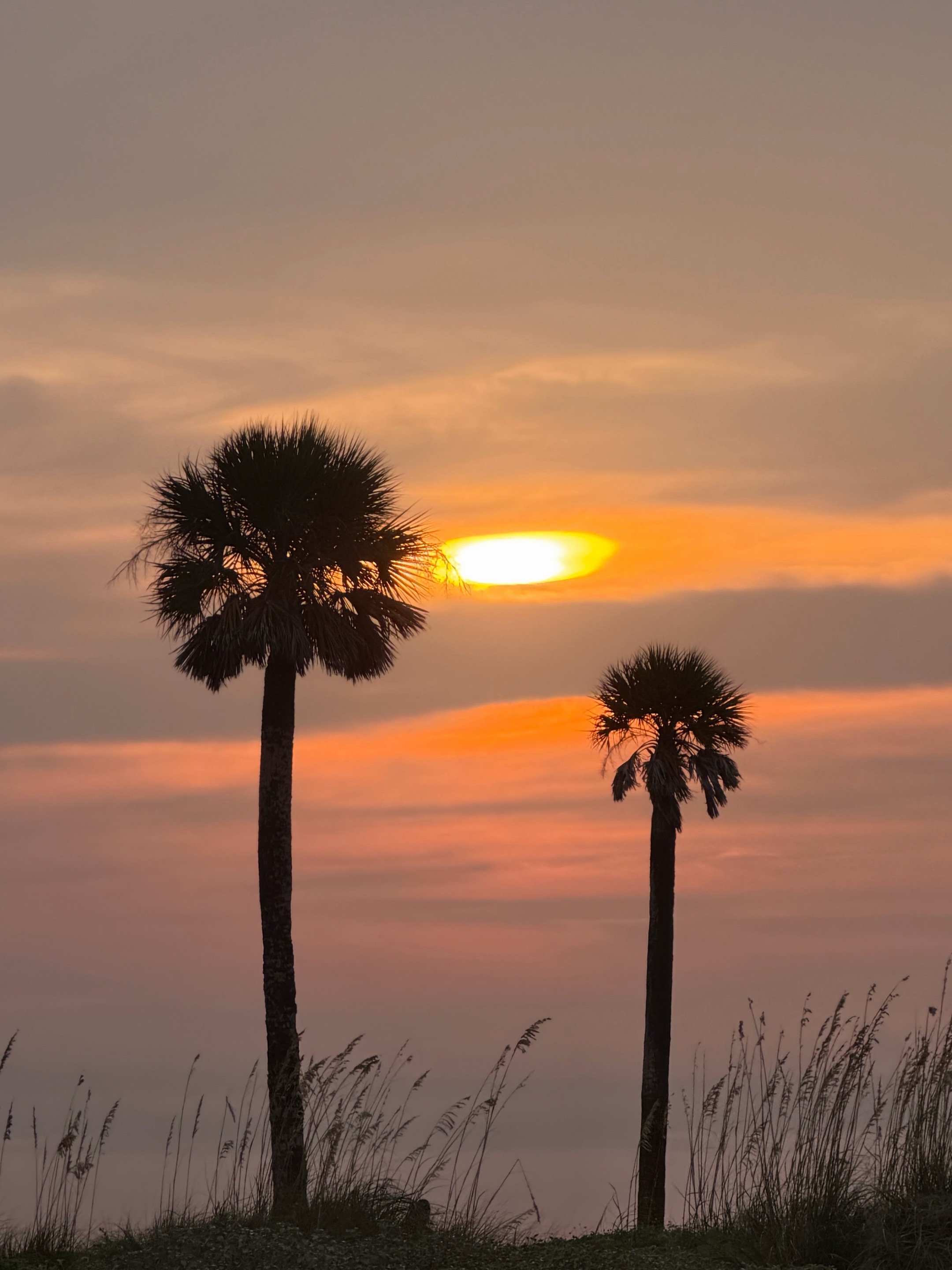 @sunsetlover26