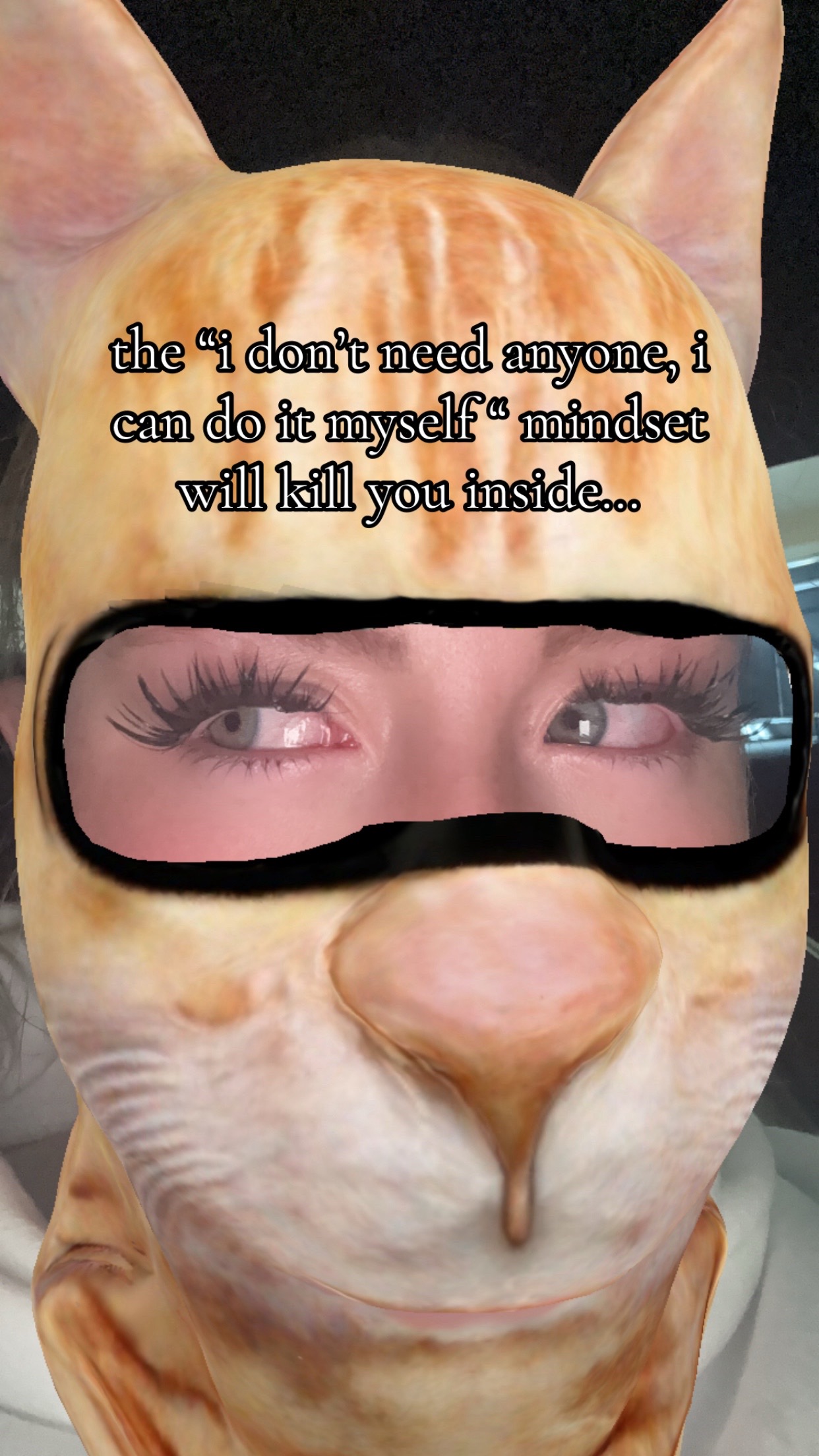 @🖇️bbi
