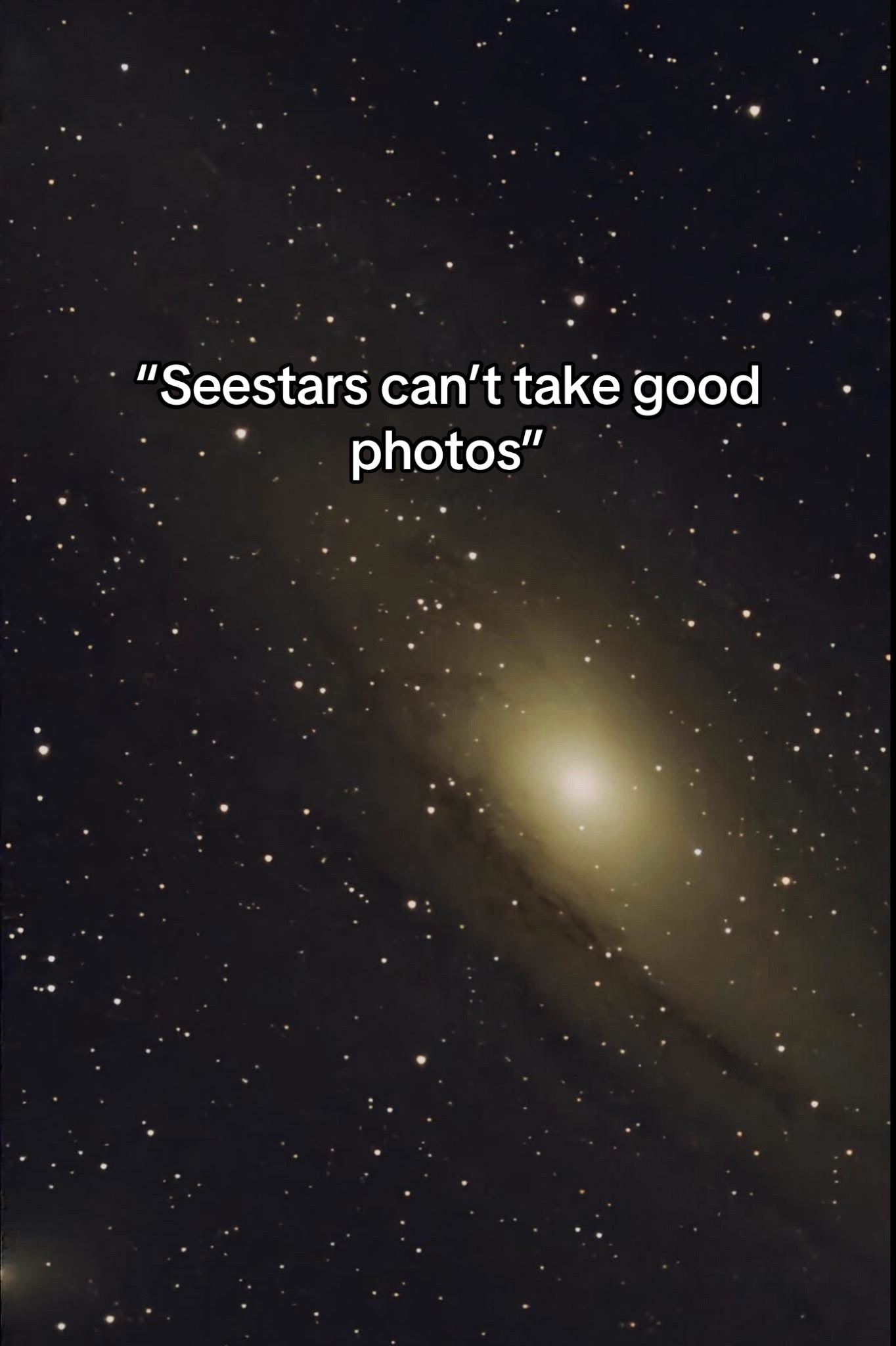 @MartF(x)na AKA Echo 🔭