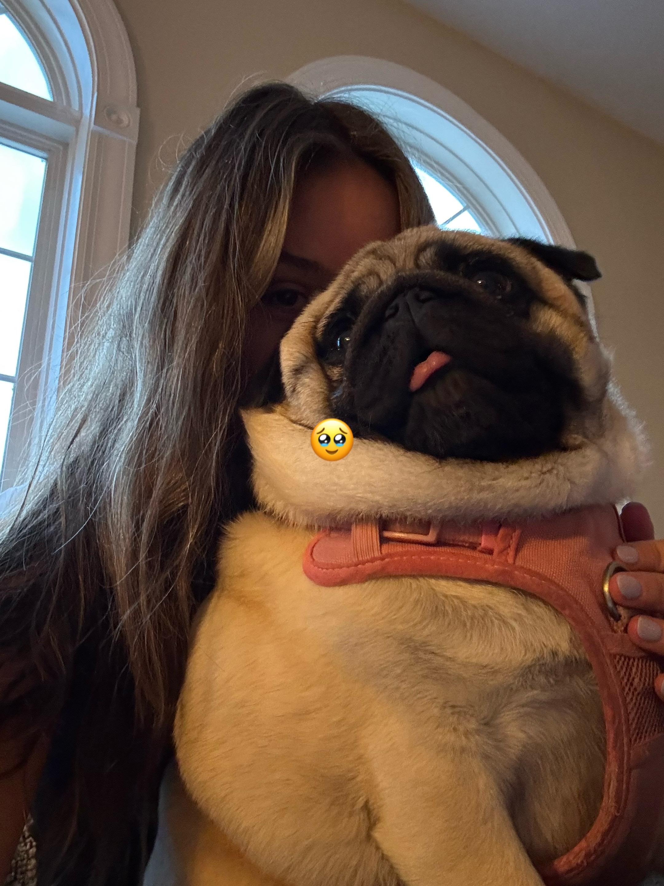 @PUGNAROUND