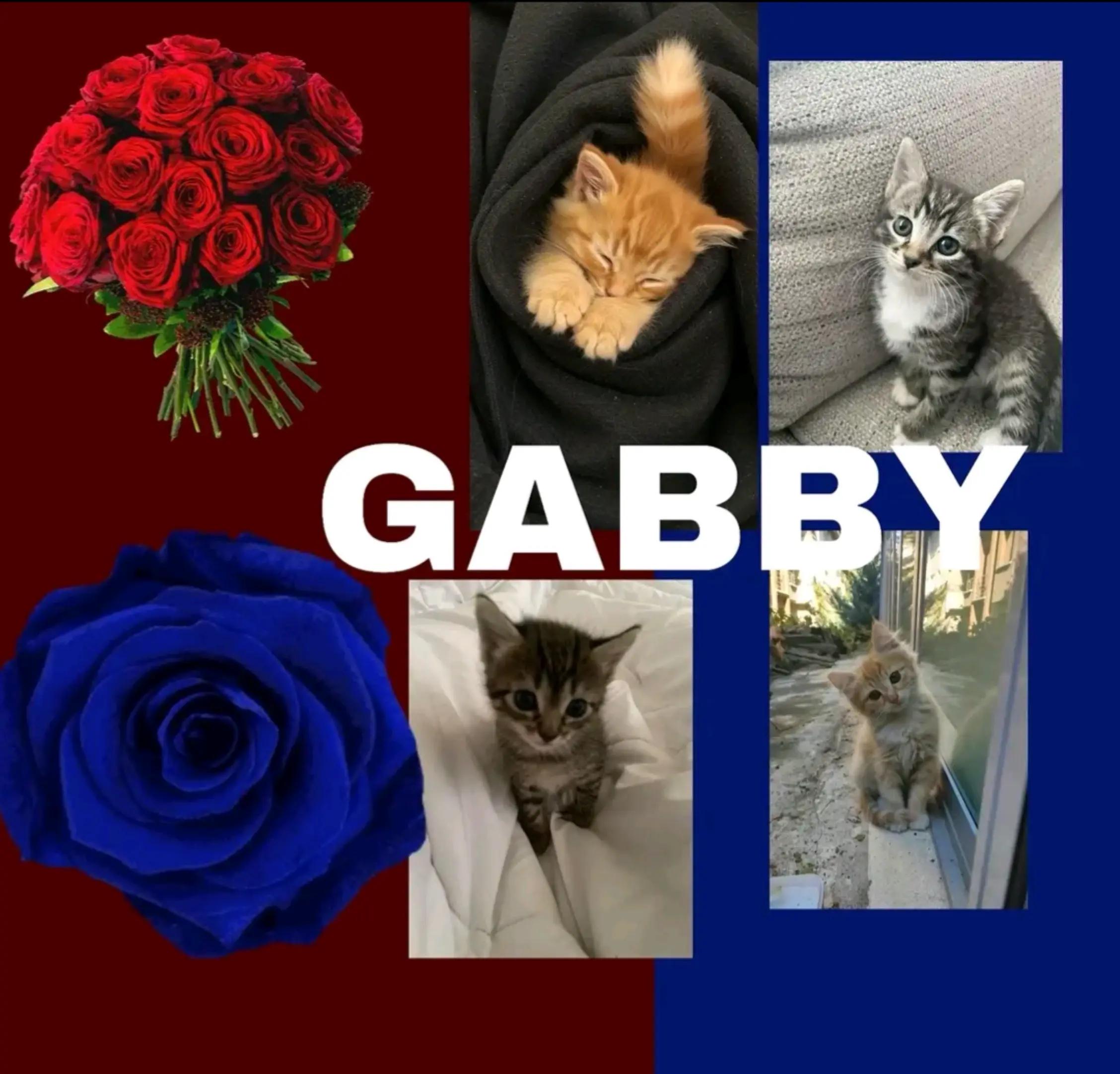 @Gaby💗