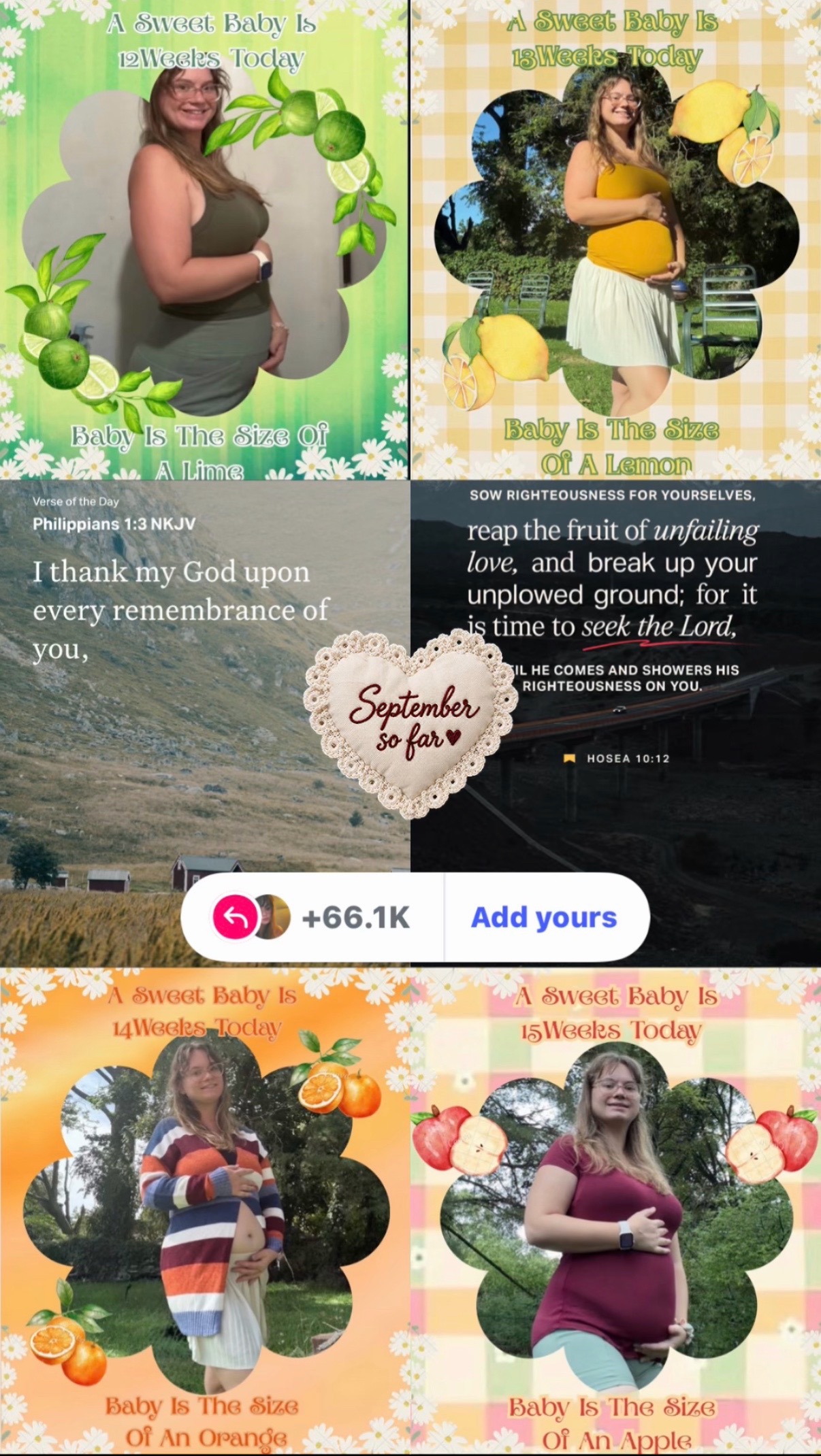 @🦋Kiwi🦋