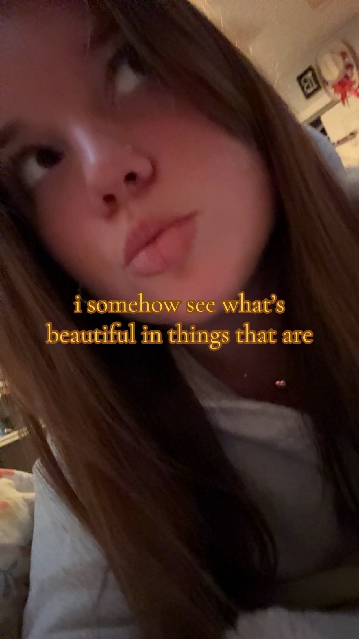 @bella mea💐🐞