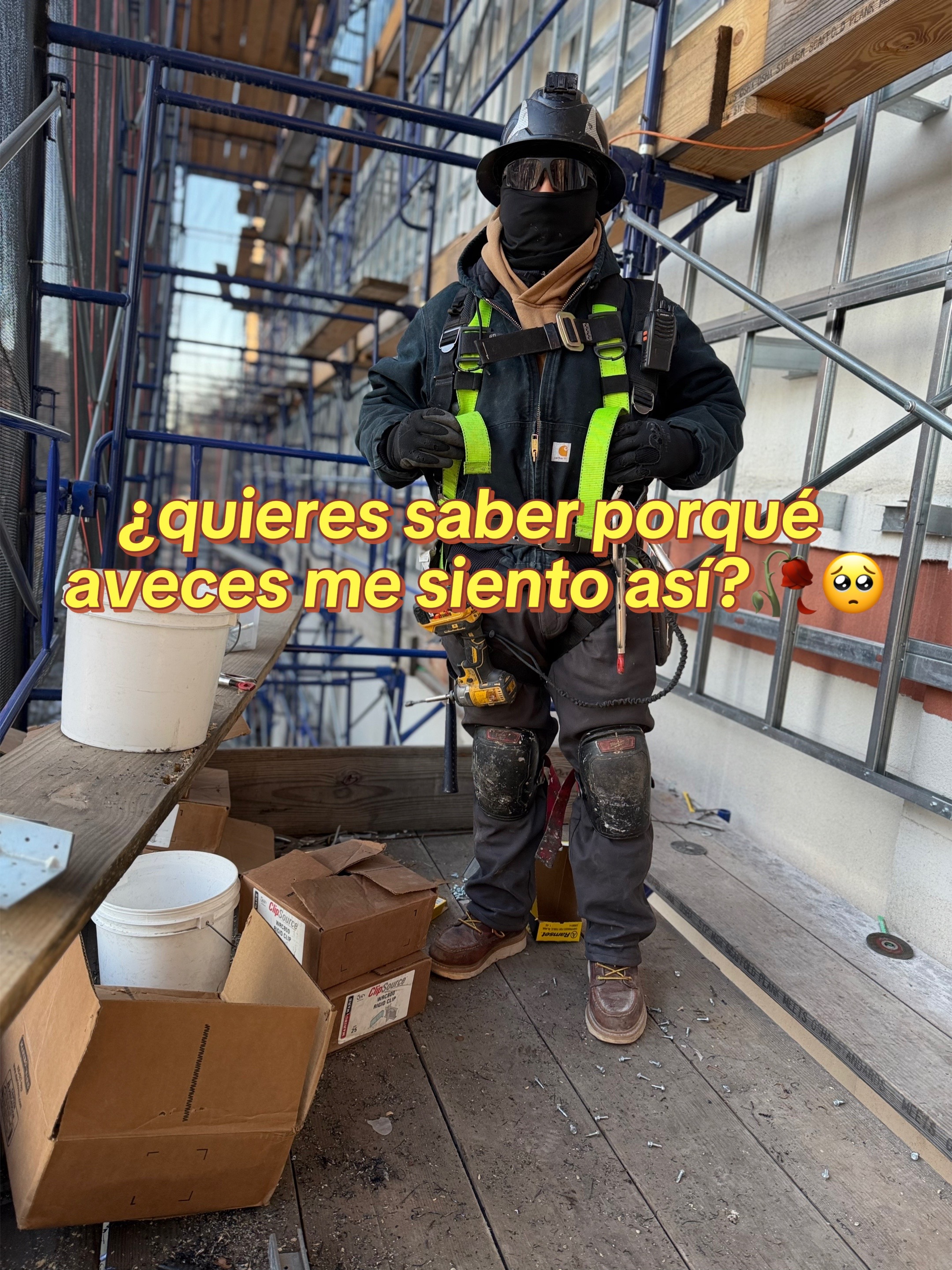 @Josue ZWeed