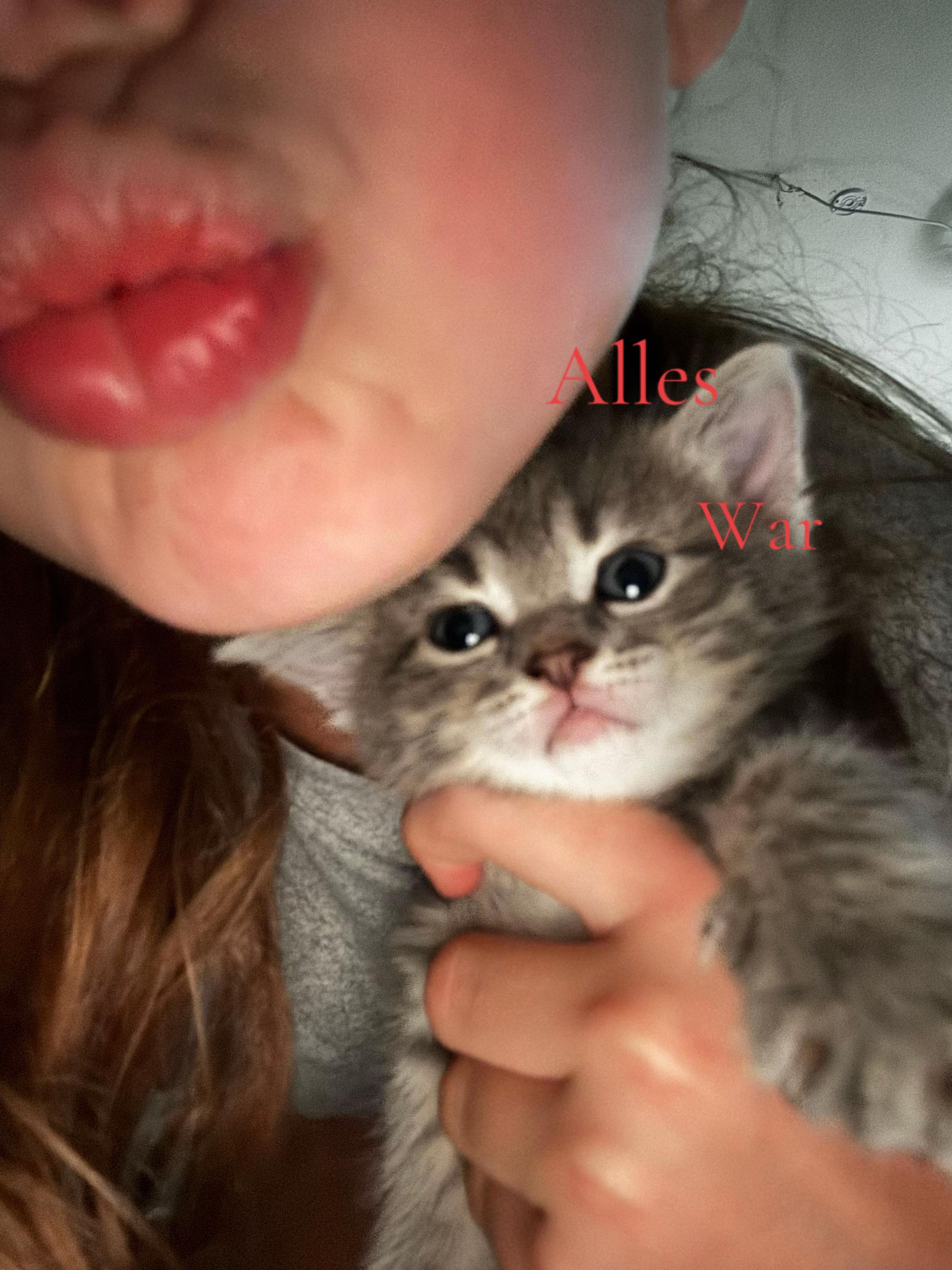 @secret_lilli_