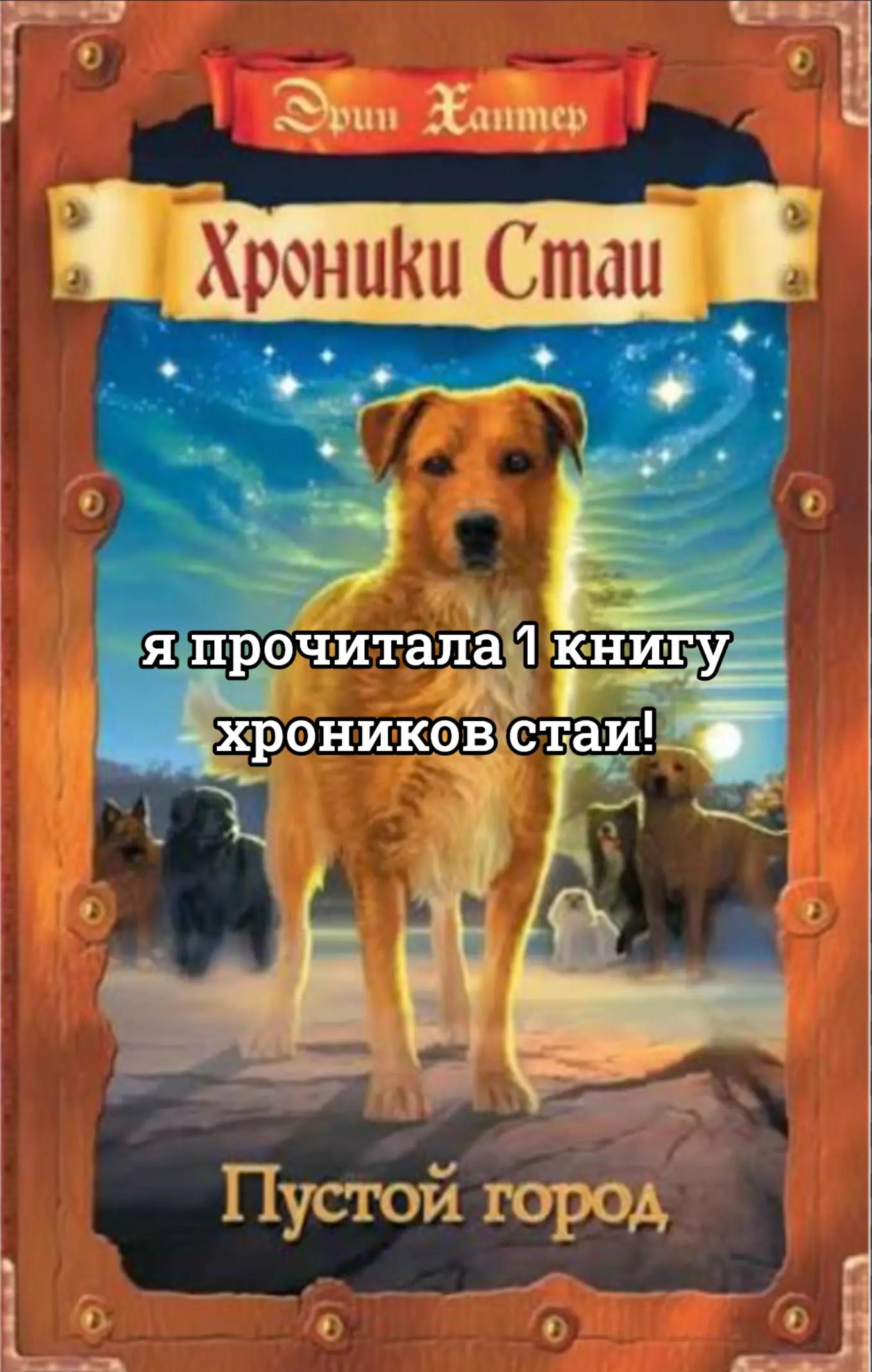 @Шарф ☮️.