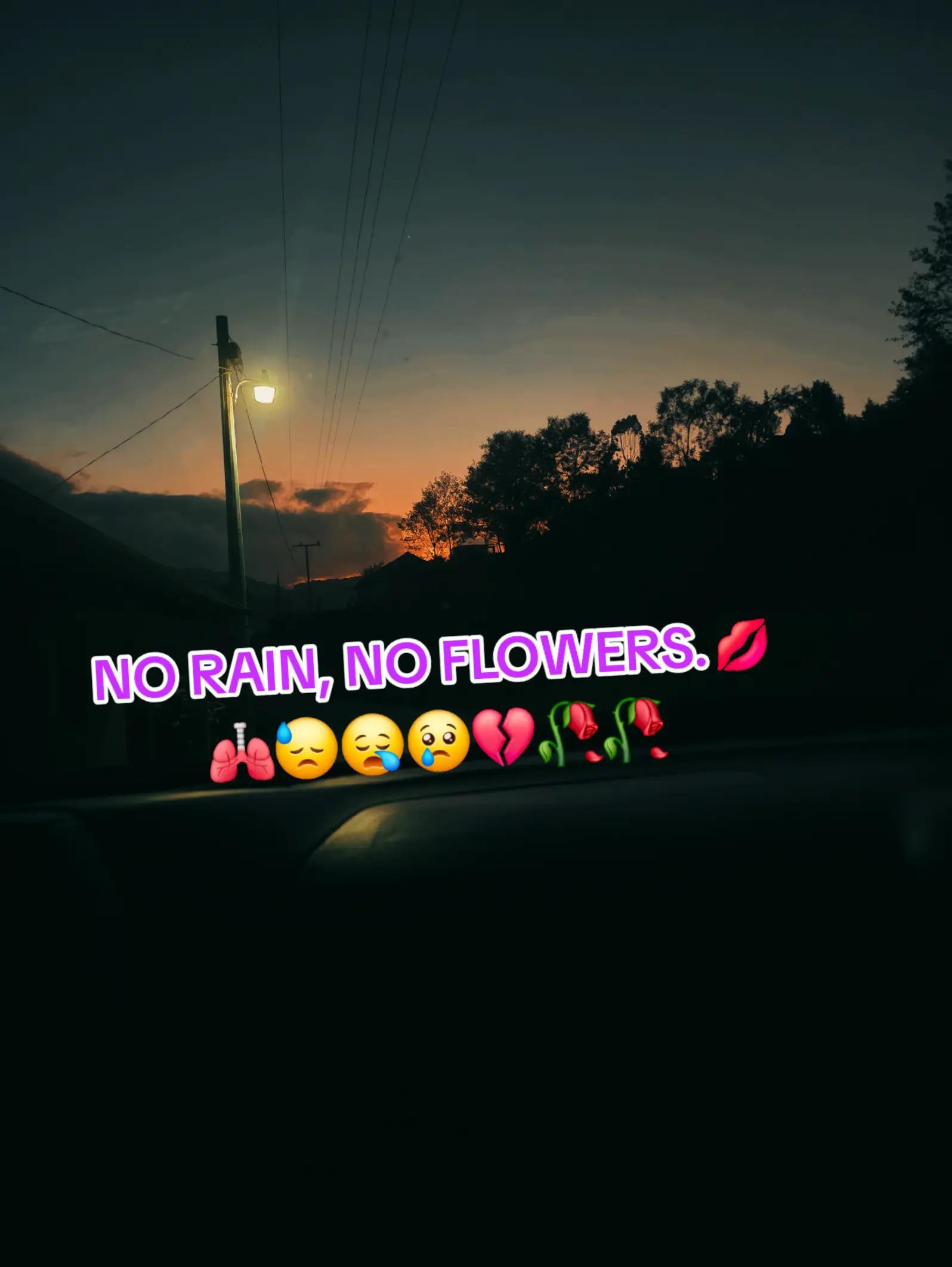 @🪫Tristevida972🪫