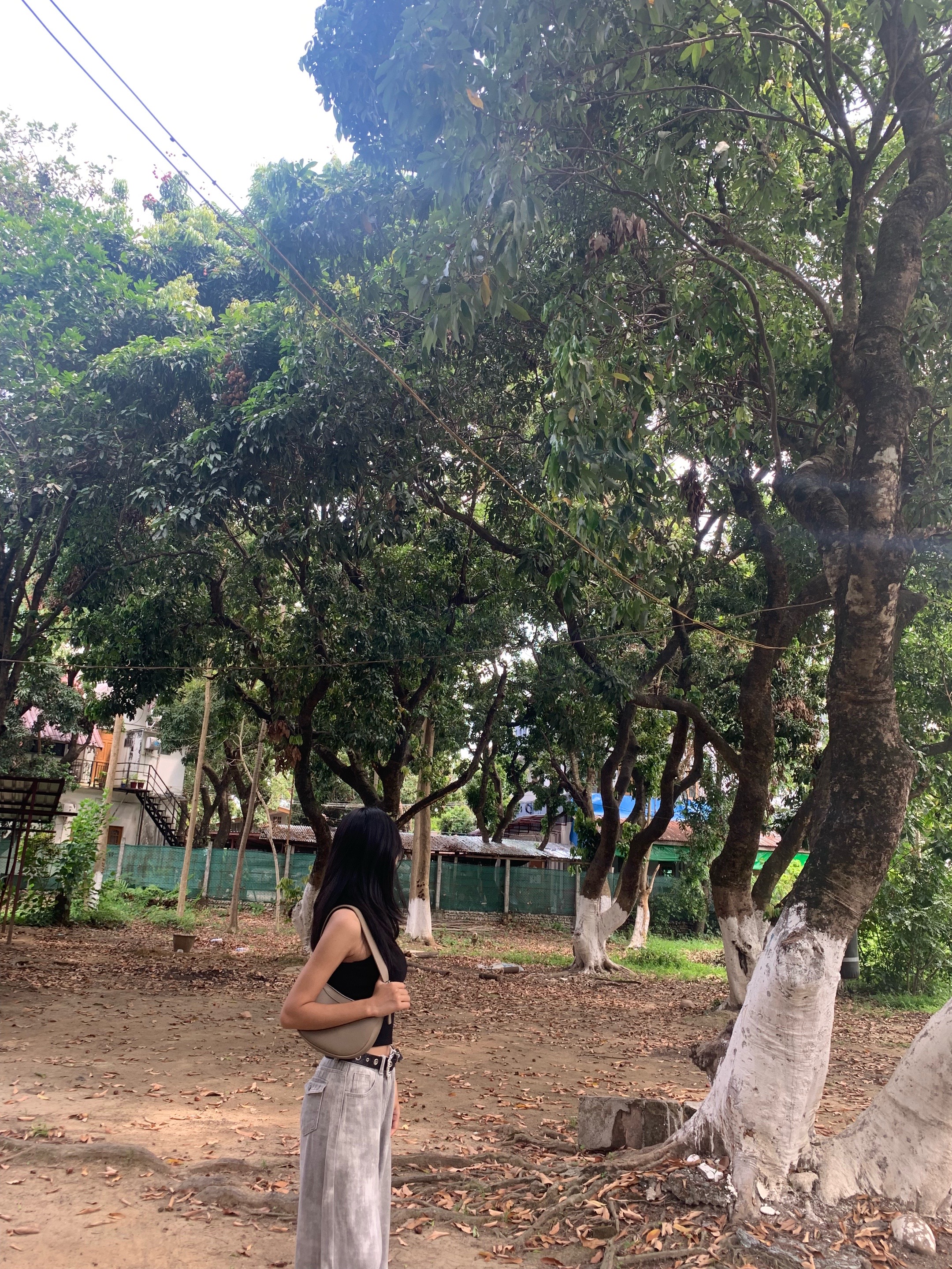 @Roi🐾