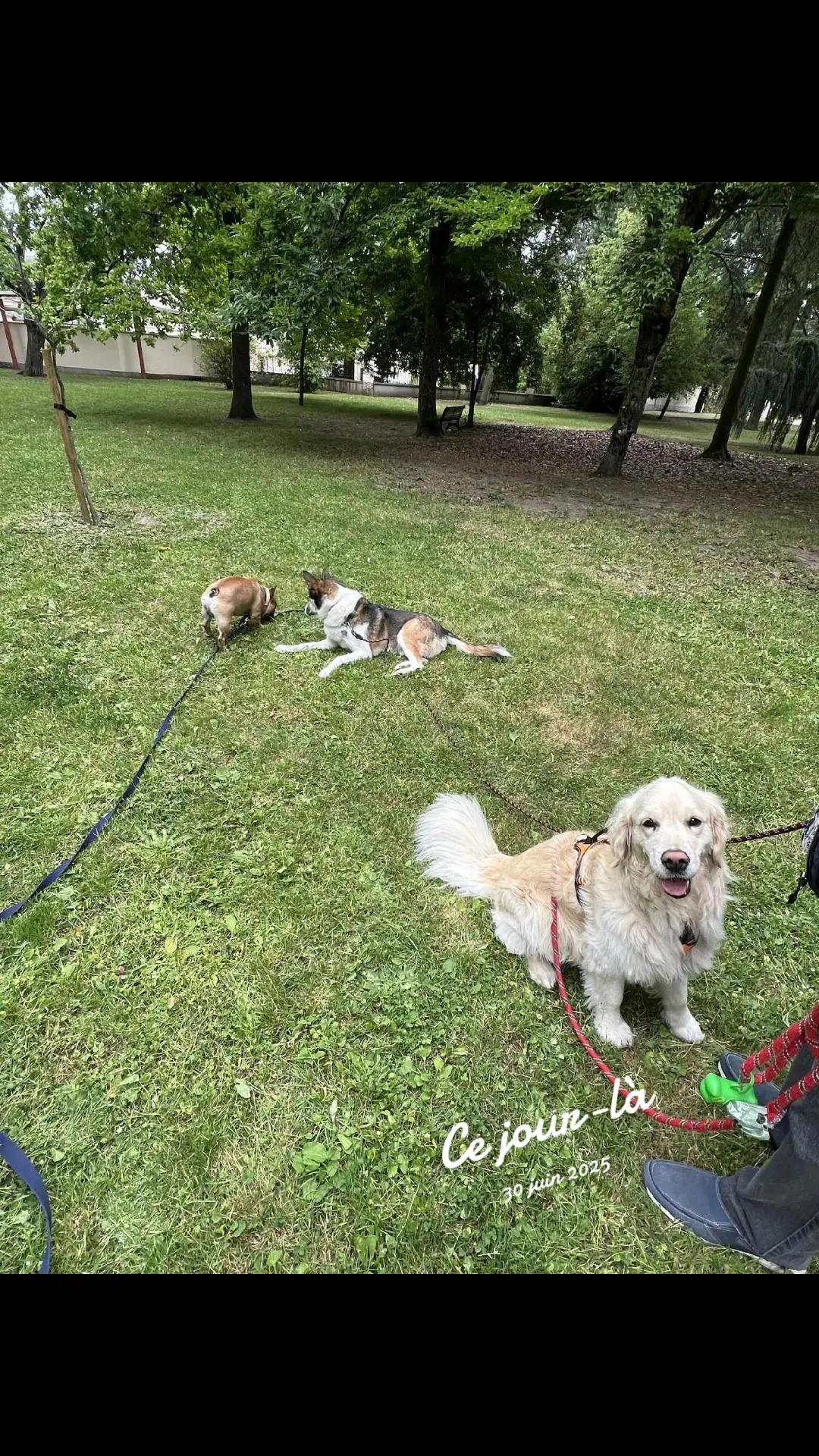 @La petite Lily et ses copains
