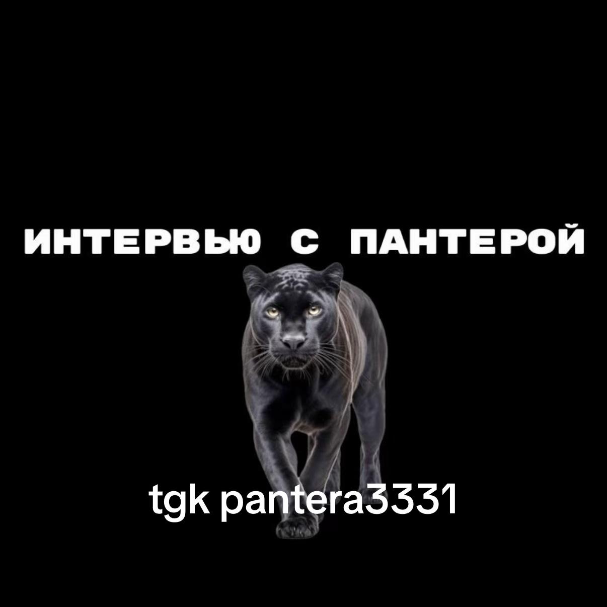 @tgk-pantera3331