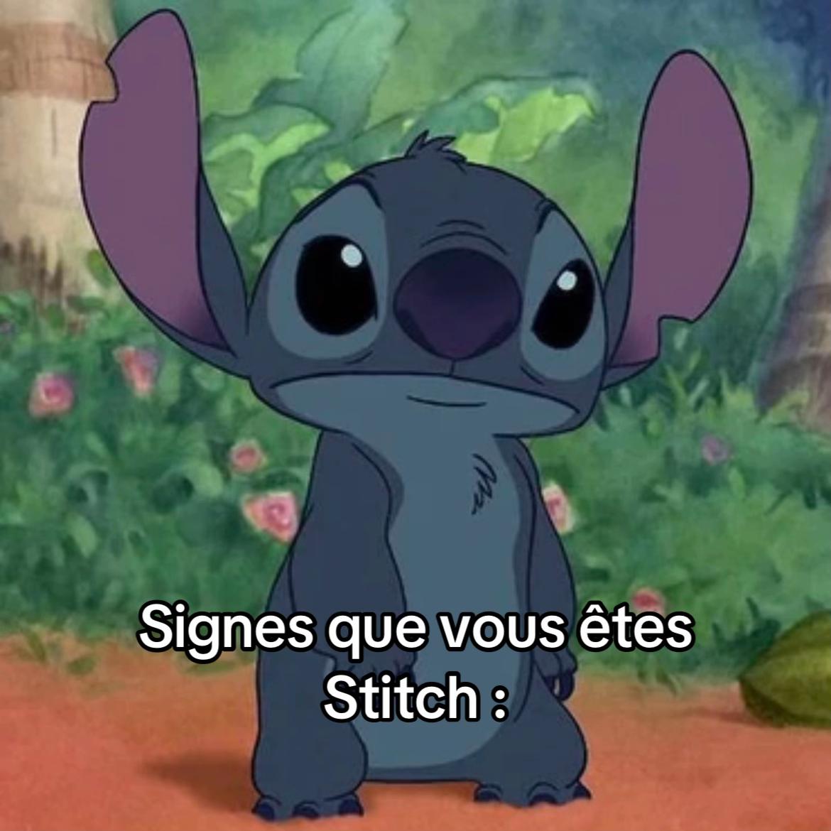 @Rose