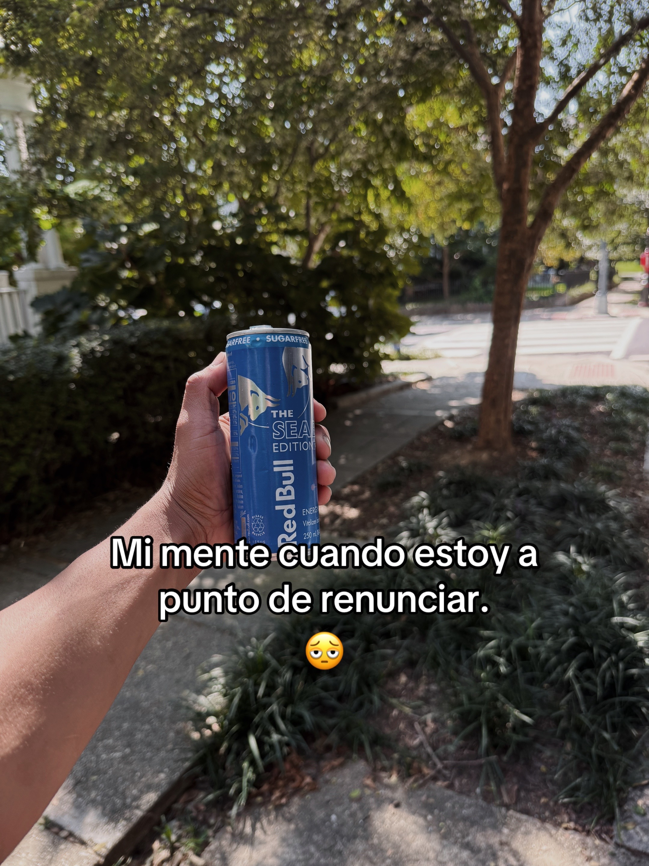 @Ronal 🔥