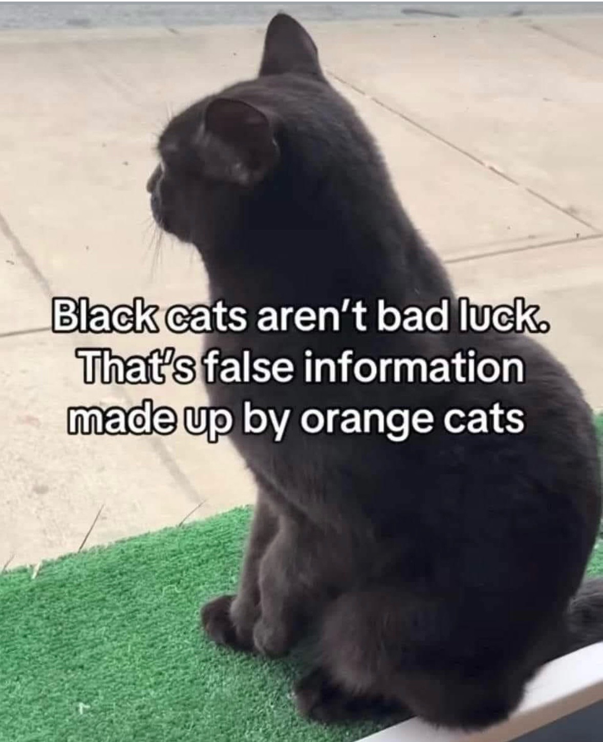 @Bratcats