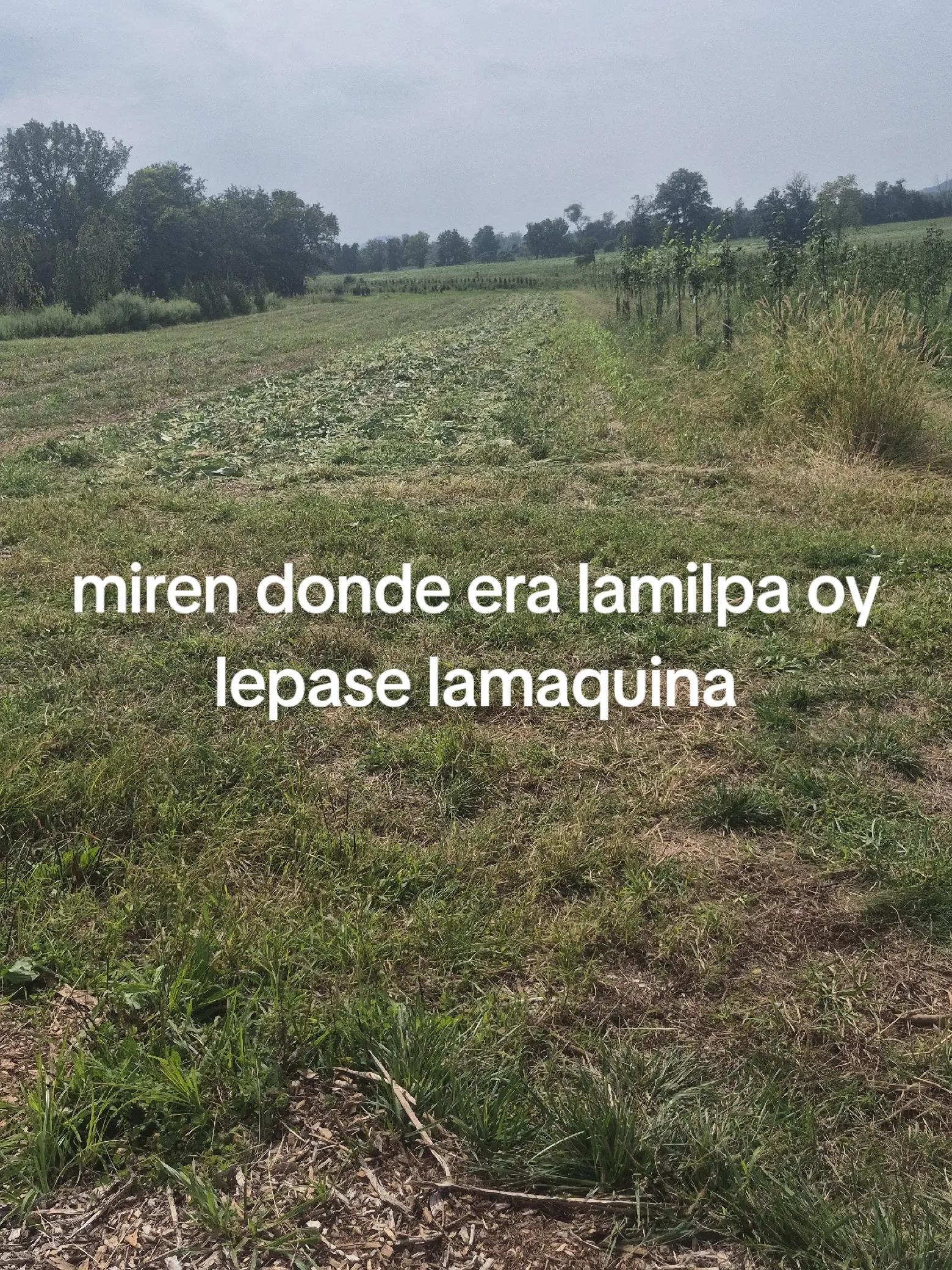 @hernan navarete