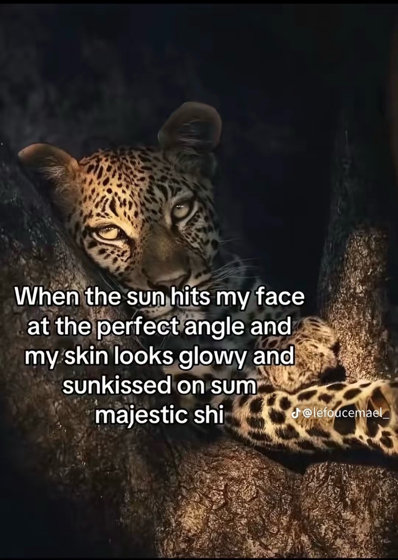 @SIMON