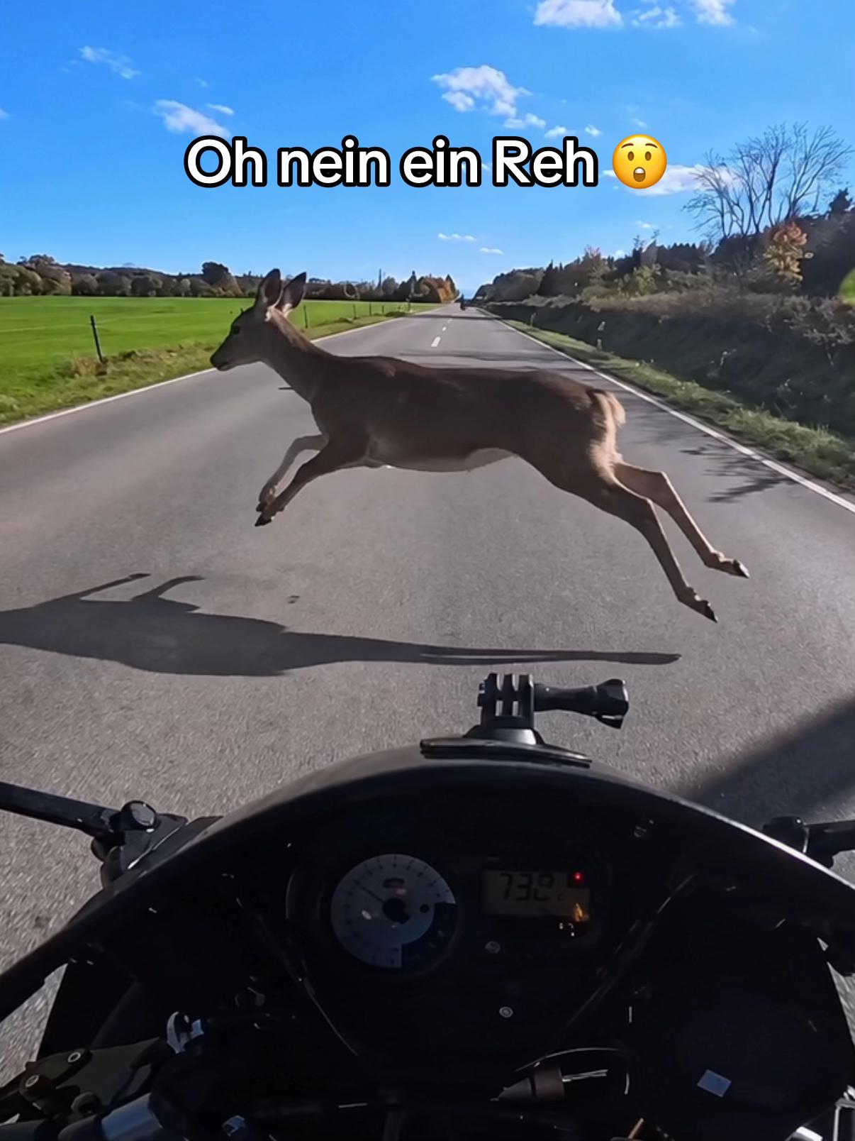@RandomBiker